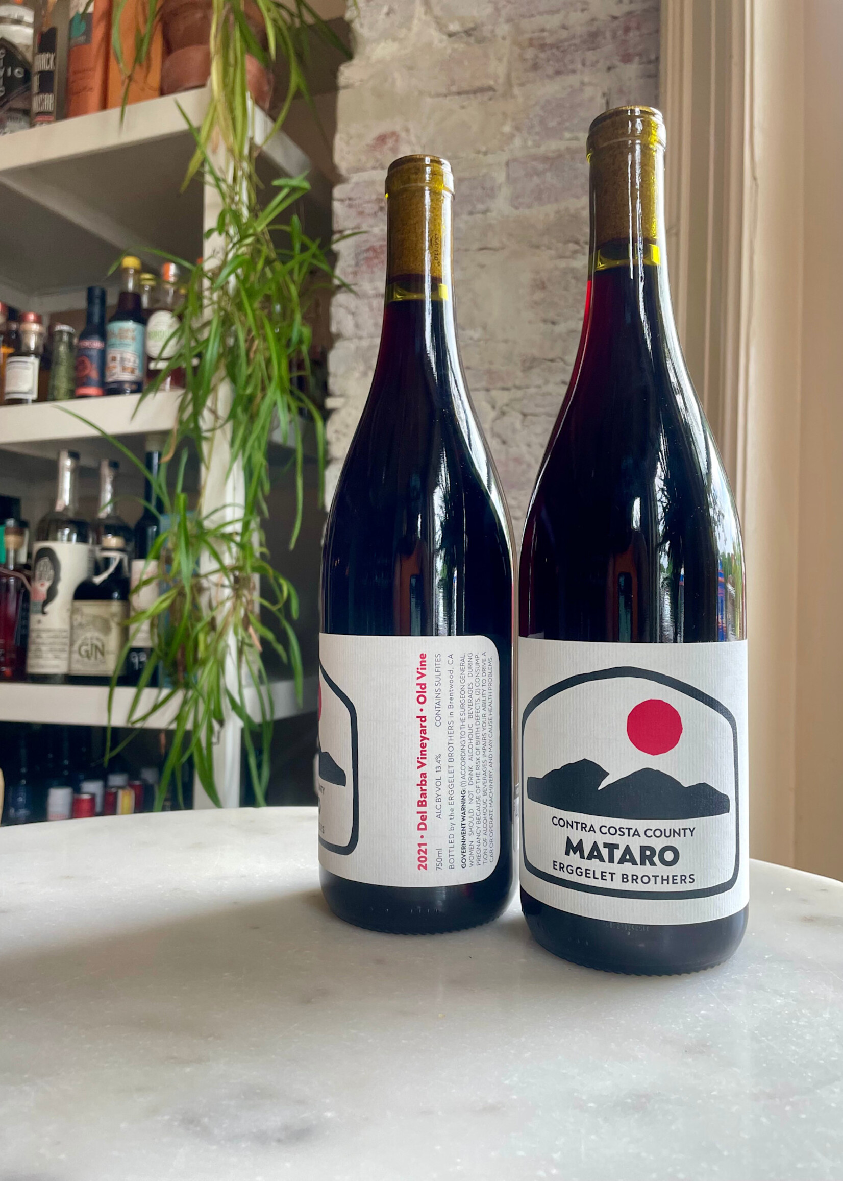 Erggelet Brothers, Mataro del Barba Vineyard, Contra Costa, California 2021