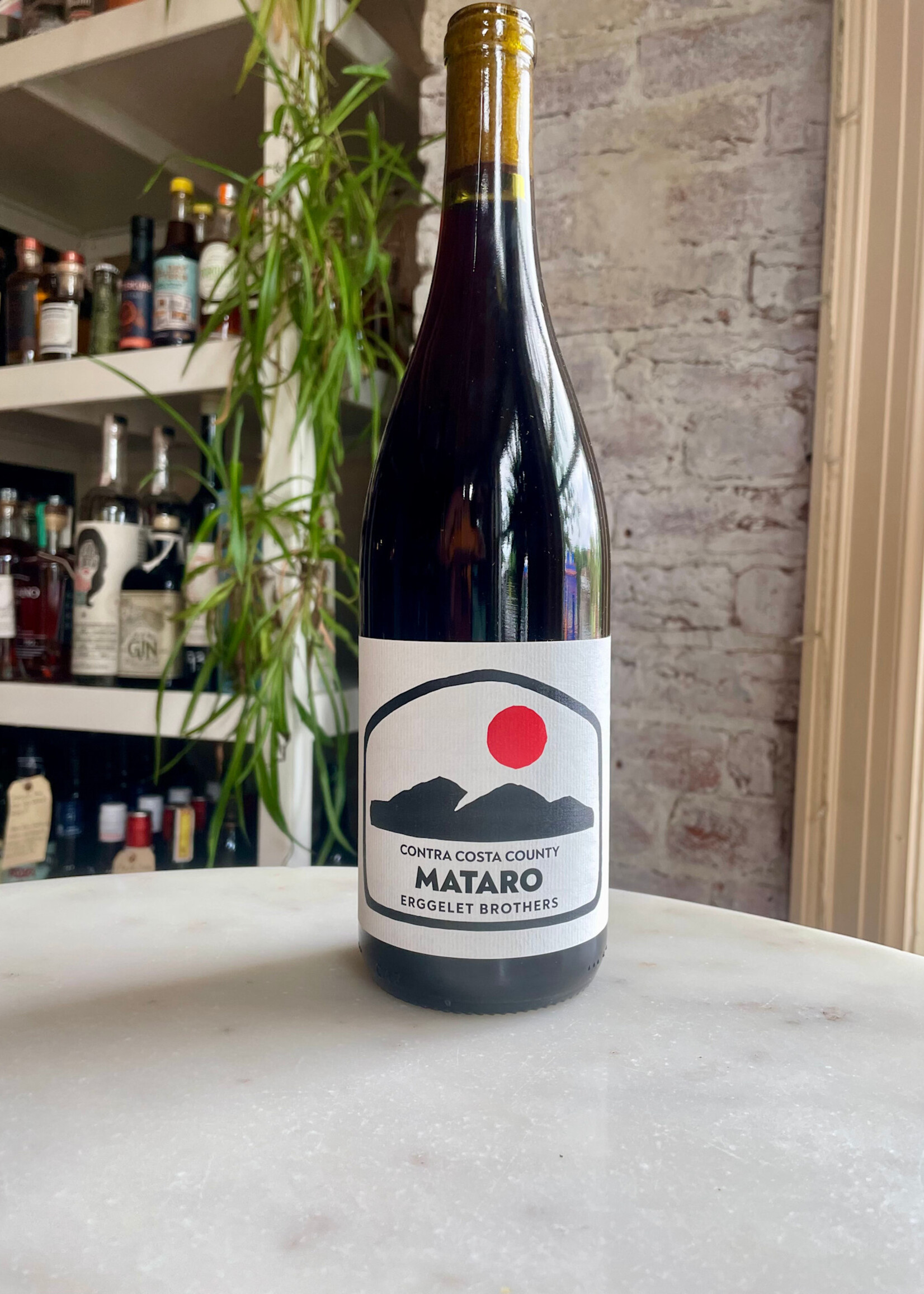 Erggelet Brothers, Mataro del Barba Vineyard, Contra Costa, California 2021