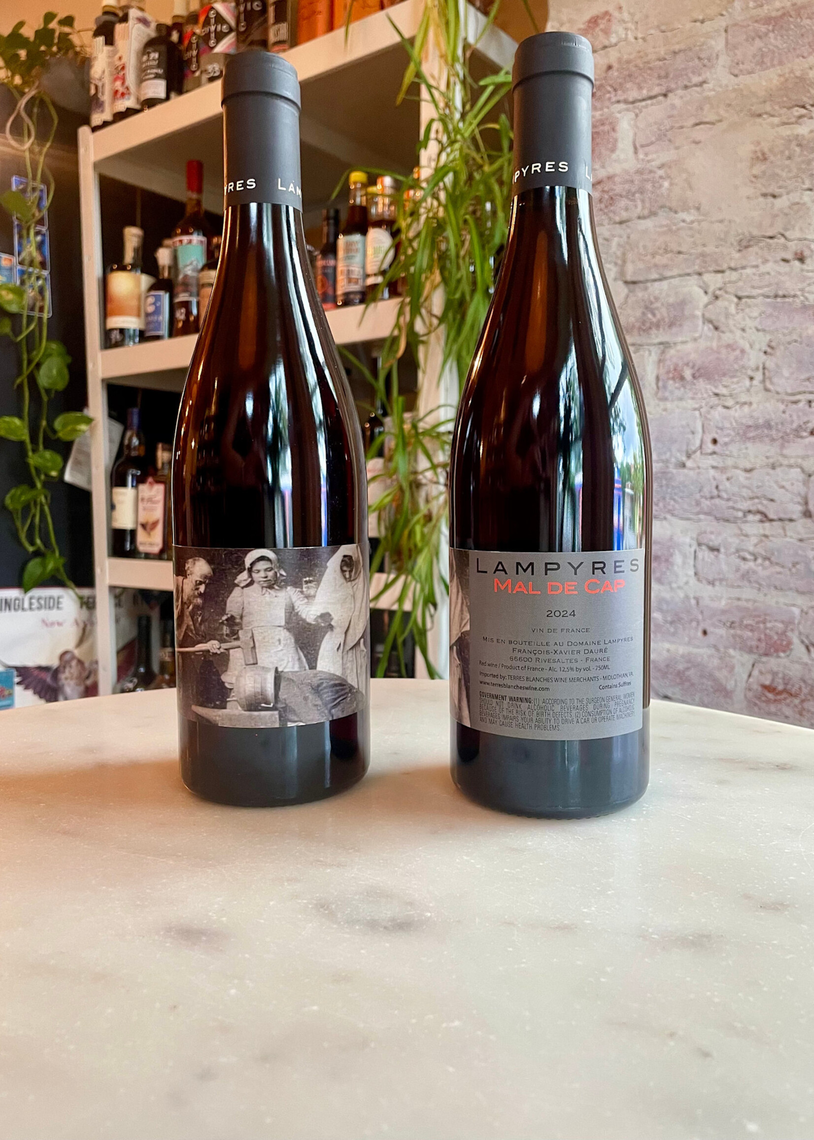 Domaine des Lampyres, Mal de Cap Rouge, Roussillon 2024