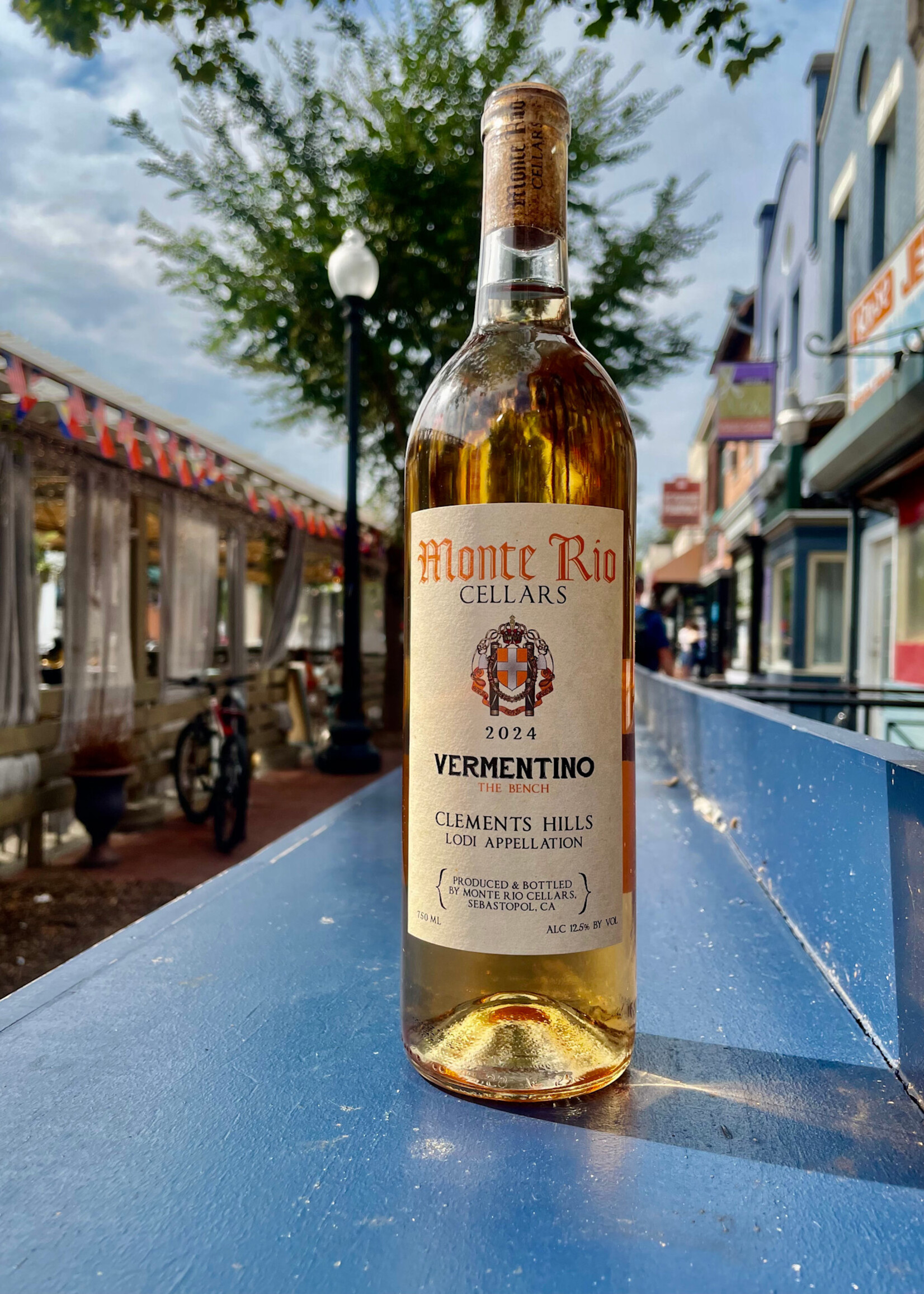 Monte Rio, The Bench, Lodi, California 2024