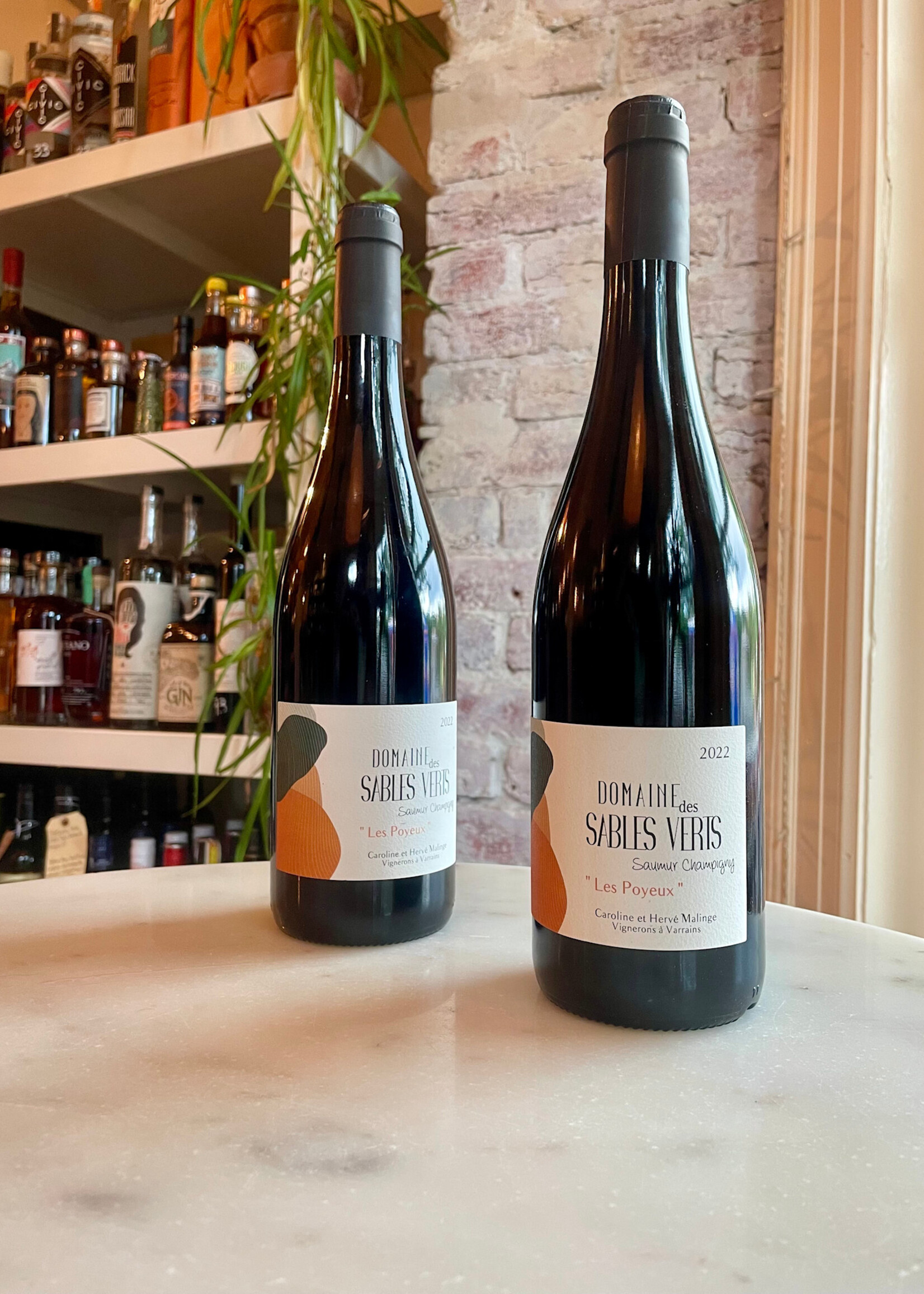 Domaine des Sables Verts ’Les Poyeux’ Samur- Champigny, France 2022