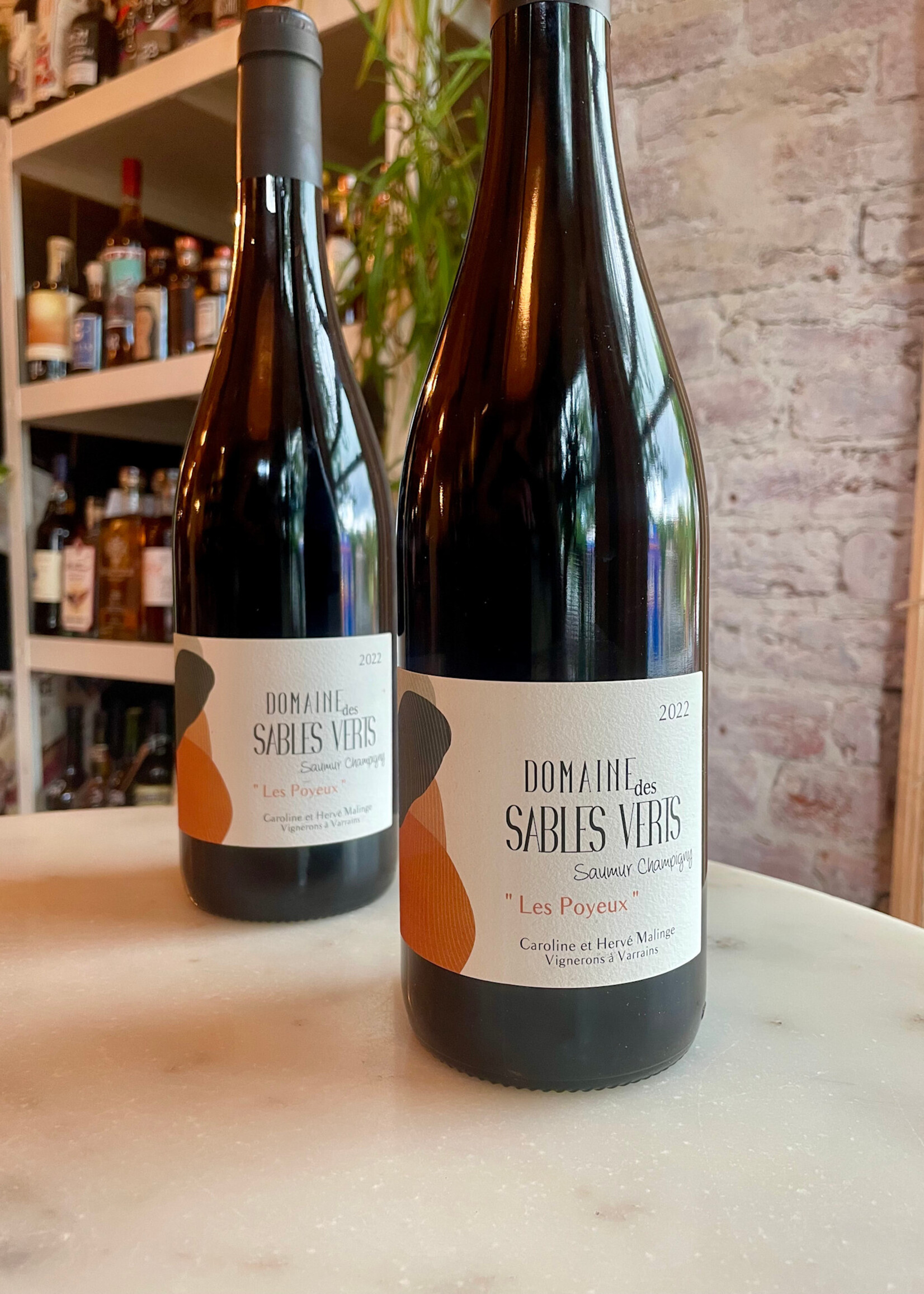 Domaine des Sables Verts ’Les Poyeux’ Samur- Champigny, France 2022