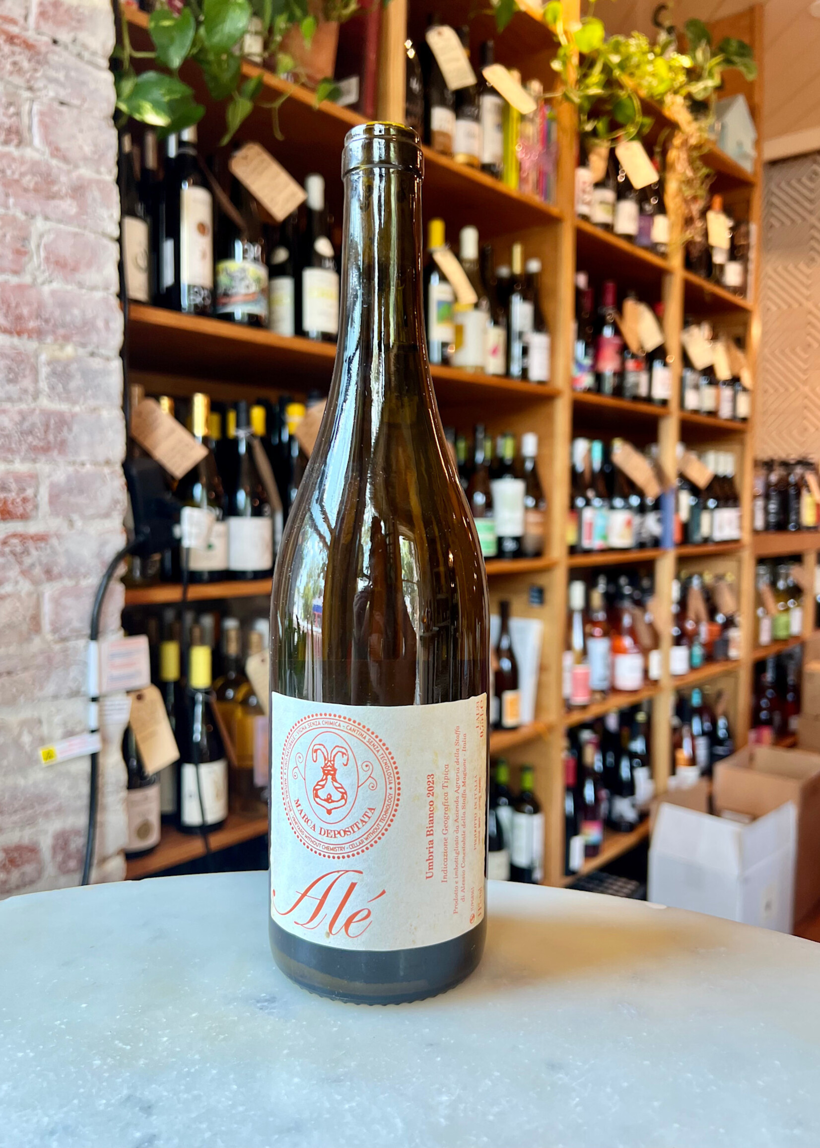 Vini Conestabile della Staffa, Alé Umbria Bianco, Umbria, Italy 2023