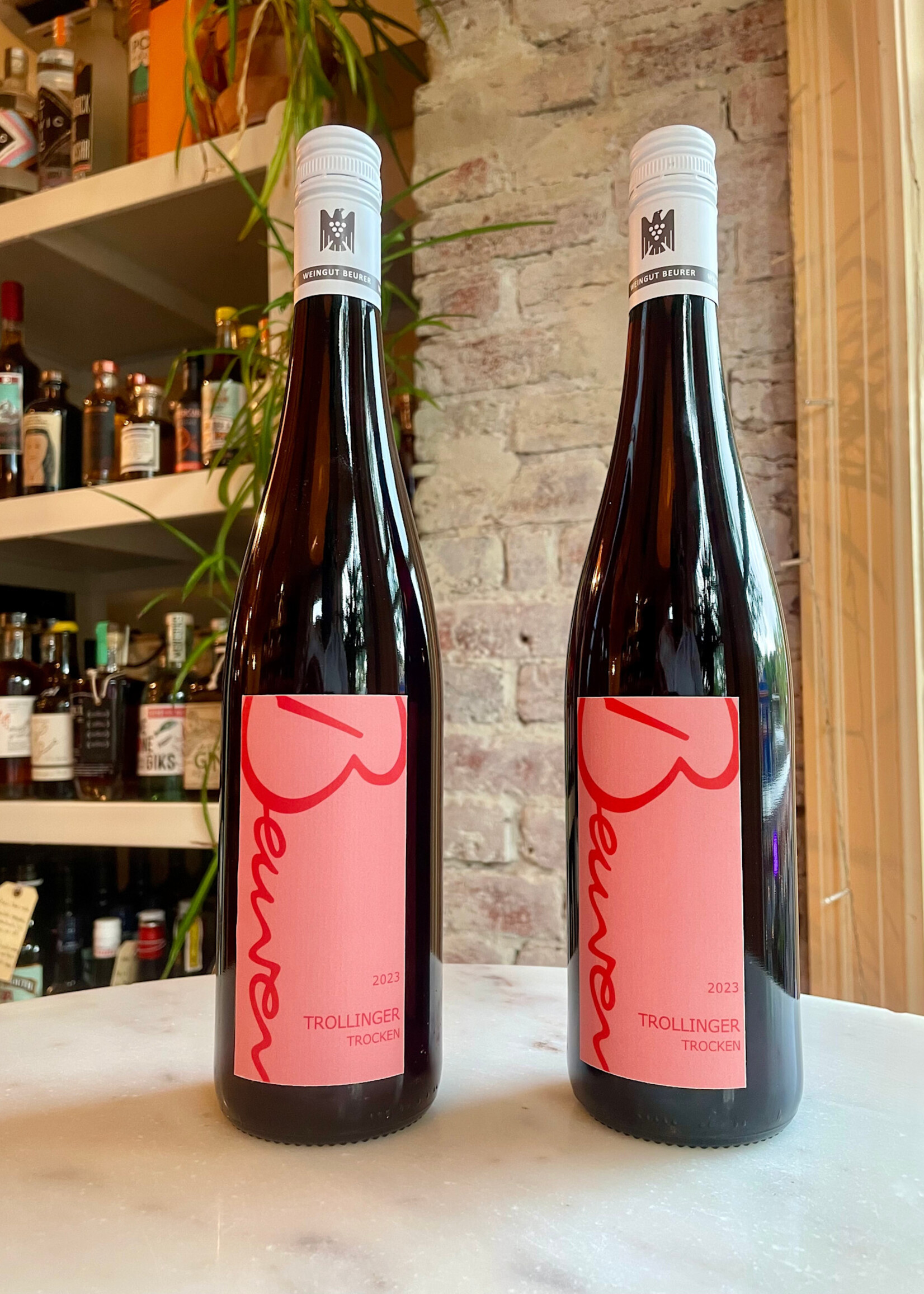 Weingut Beurer Trollinger, Germany 2024 750ml