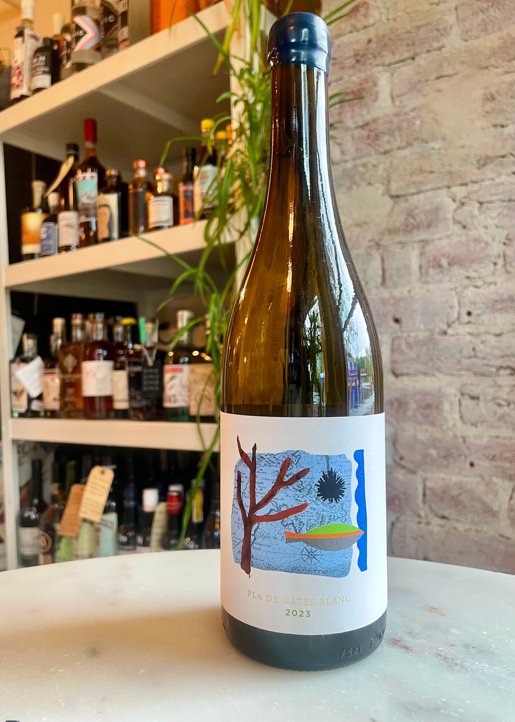 Anna Espelt Blanco Cap de Creus Pla de Gates, D.O. Empordà, Spain 2023