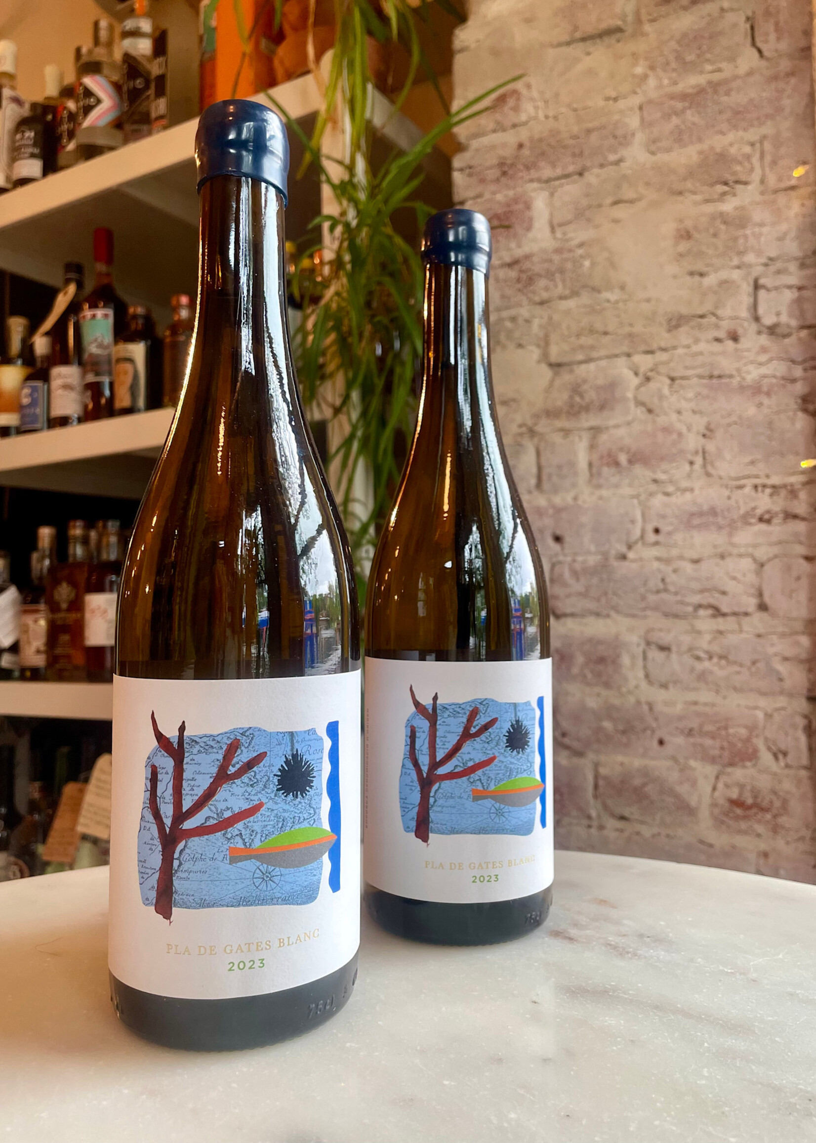 Anna Espelt Blanco Cap de Creus Pla de Gates, D.O. Empordà, Spain 2023