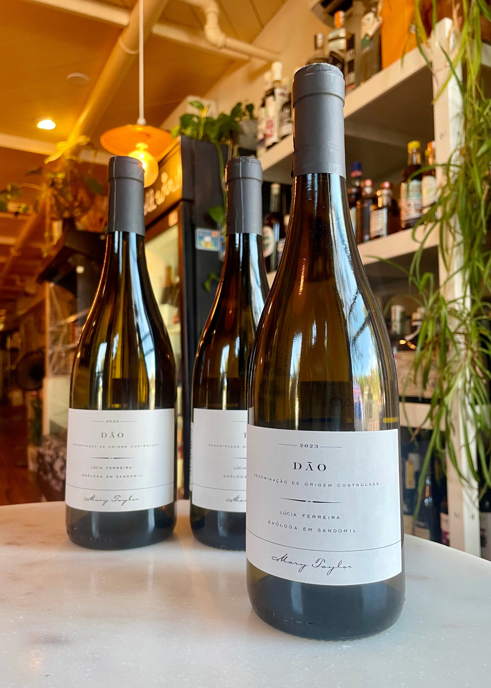 Lúcia Ferreira x Mary Taylor Dão Branco, Portugal 2023 750ml
