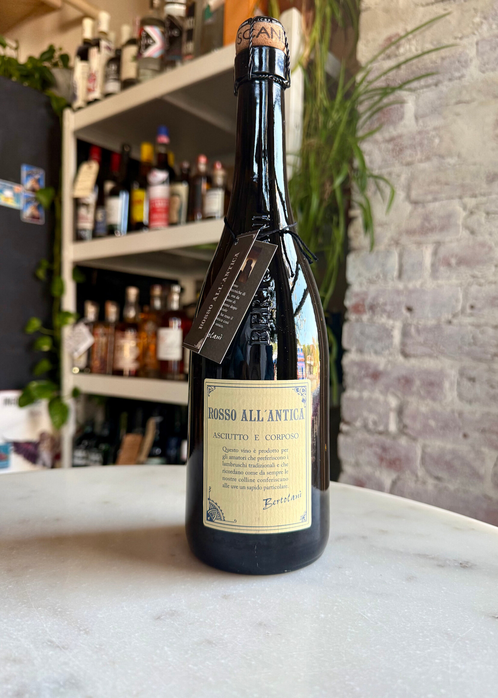 Alfredo Bertolani Lambrusco Reggiano ‘Rosso all’Antica’, Reggiano, Emilia-Romagna, Italy 2021