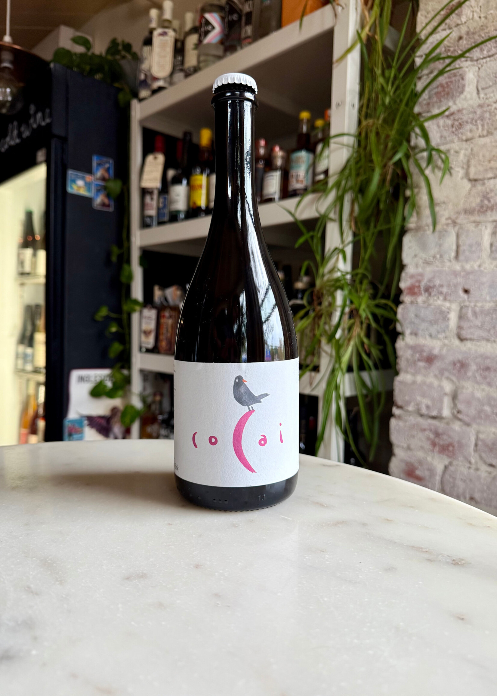 Fondo Bozzole Cocai Rosato Lambrusco, IGP Provincia di Mantova, Lombardy, Italy 2023