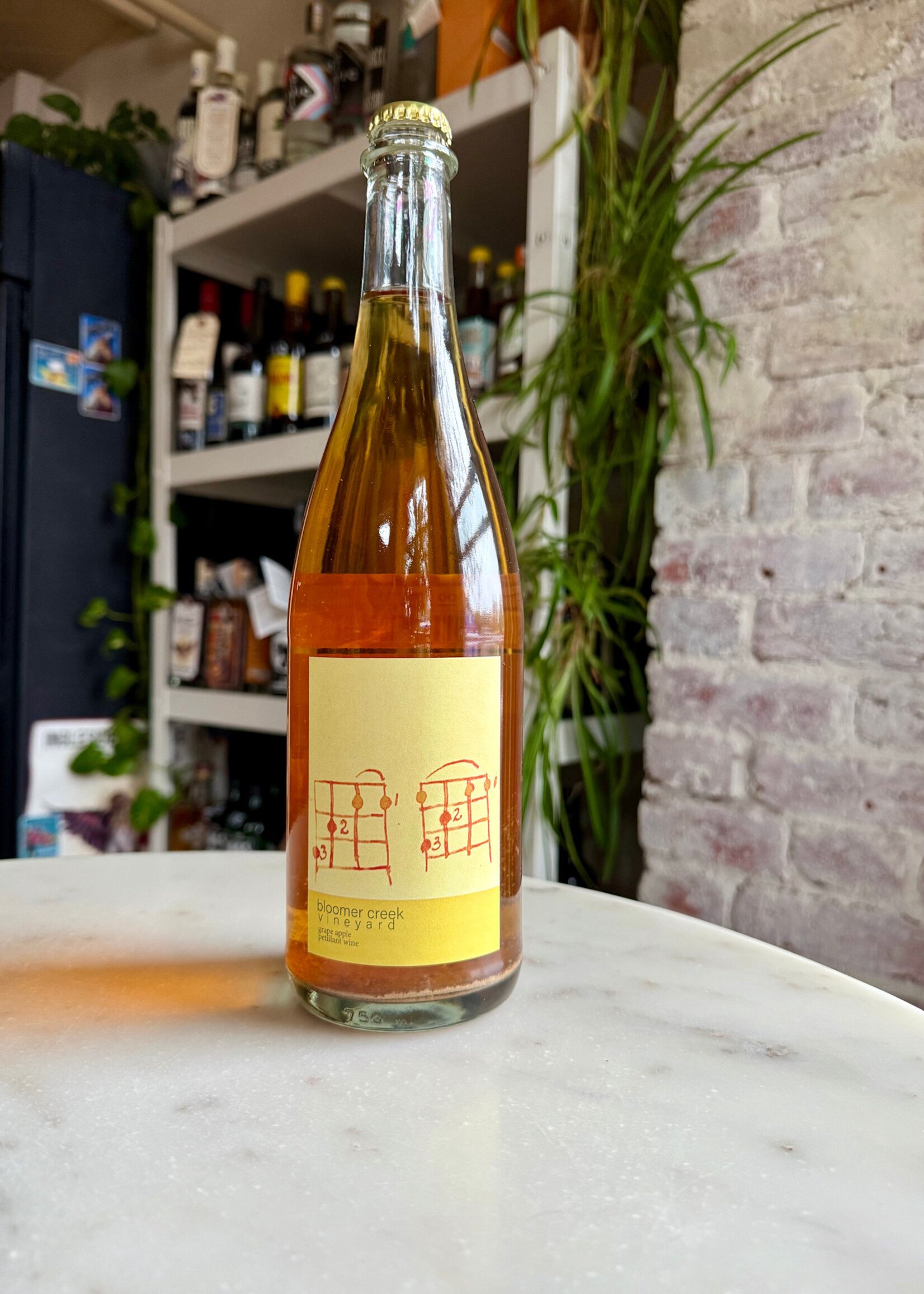 Bloomer Creek Riesling/Wild Apple Pet-Nat New York 2021