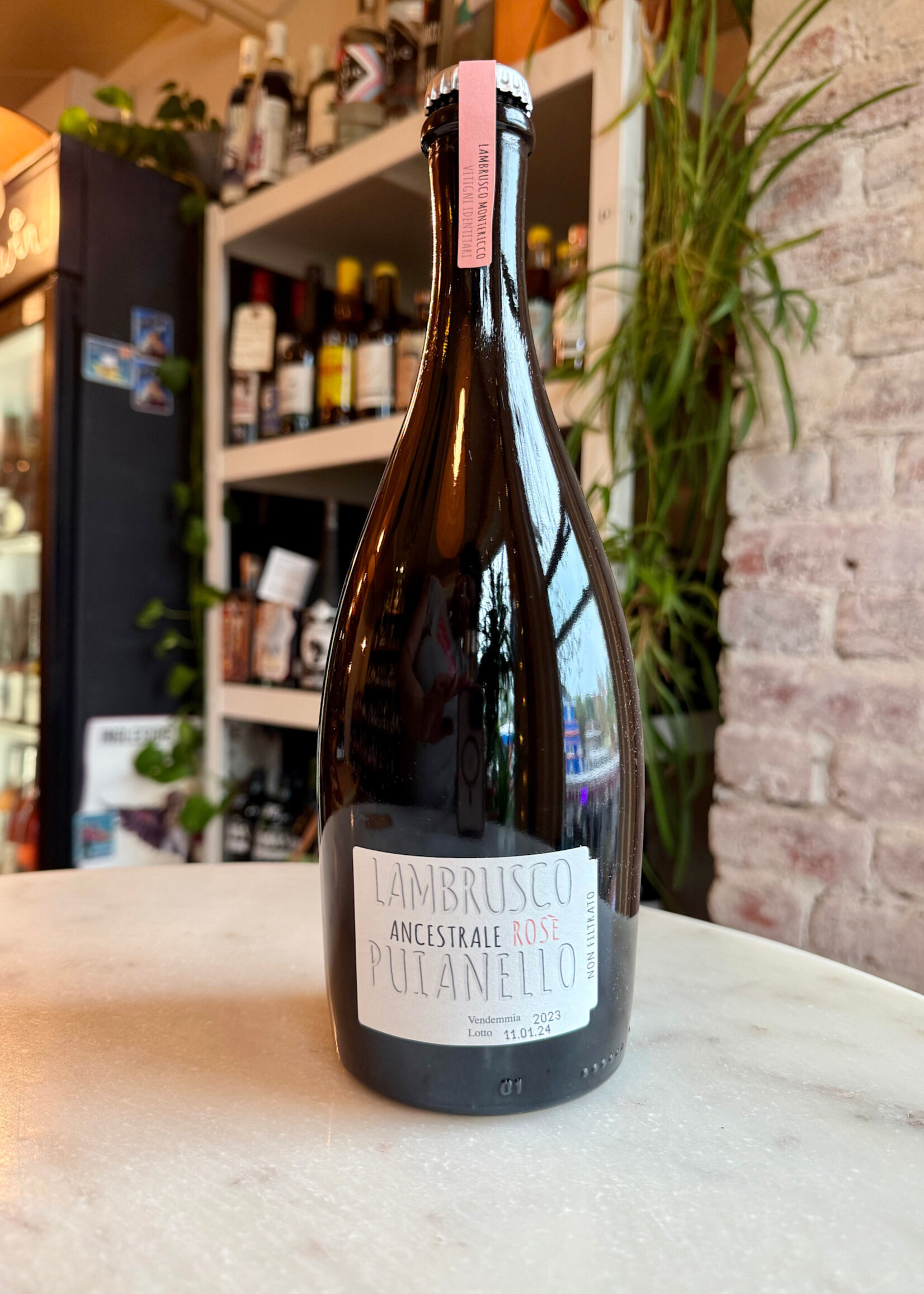 Cantina Puianello Lambrusco Metodo Ancestrale Rosato Emilia, Italy 2023
