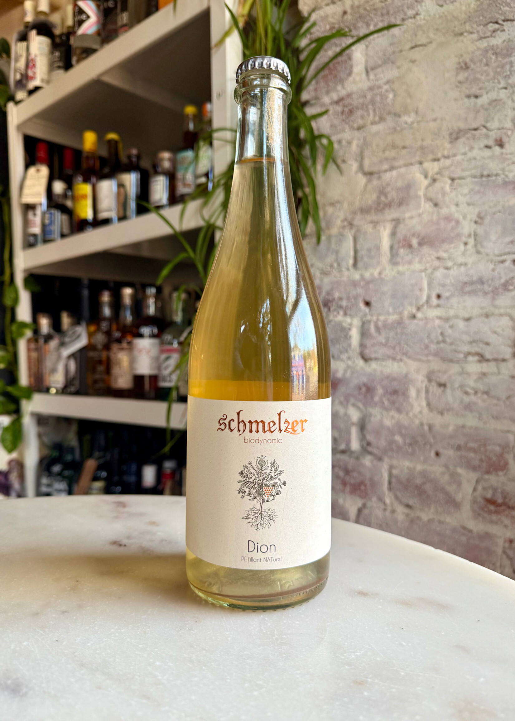 Schmelzer, Dion Pet-Nat, Burgenland, Austria 2024