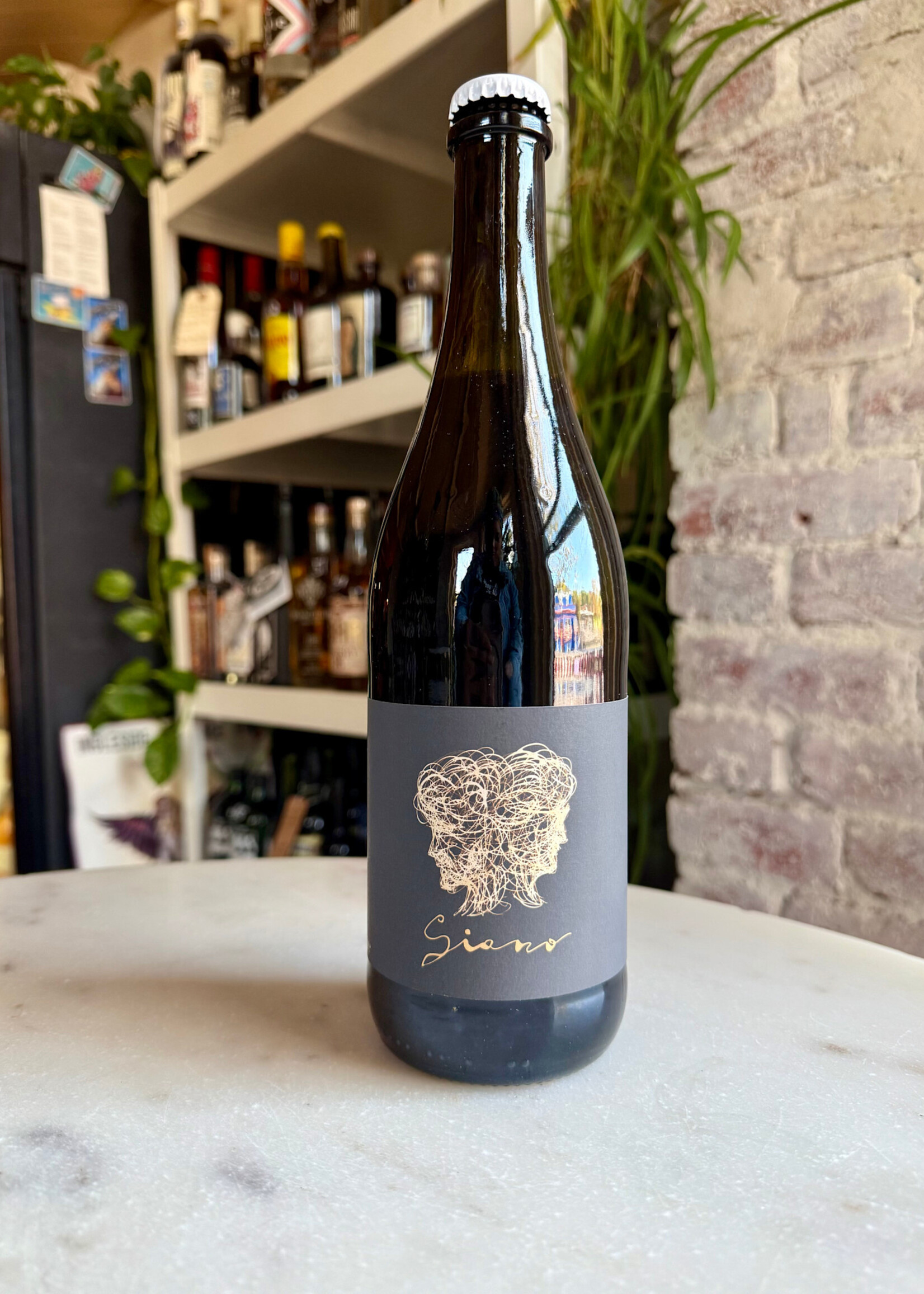 Fondo Bozzole, Giano Ancestrale Lambrusco, Lombardy, Italy 2023