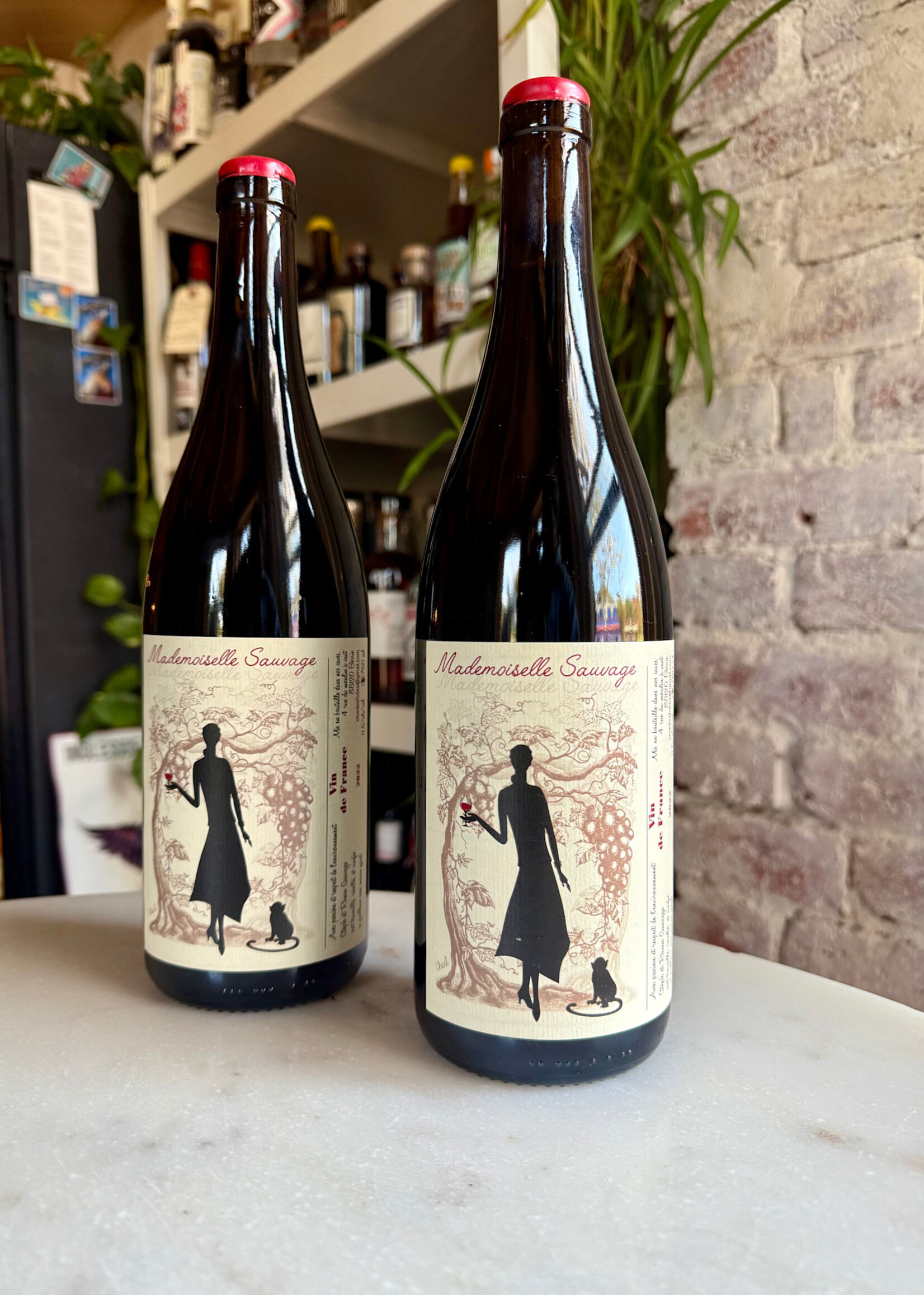 Clos des Folies Mademoiselle Sauvage, Loire Valley, France 2022