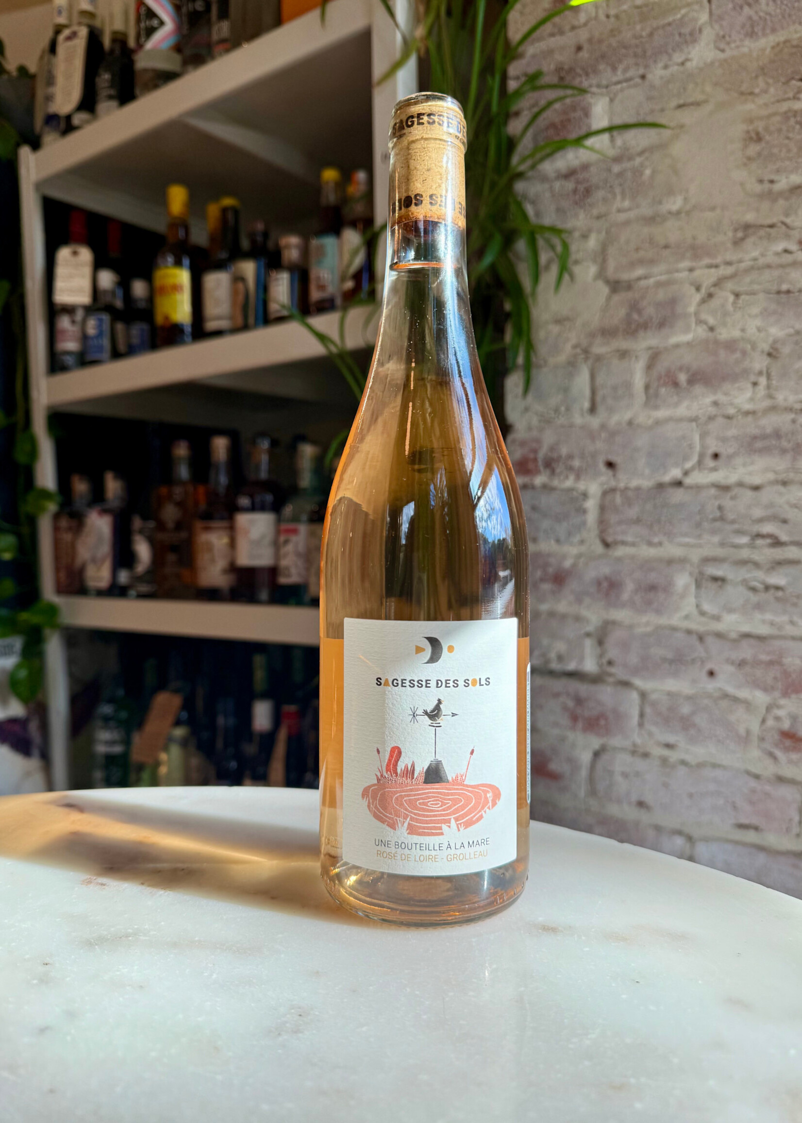Sagesse des Sols 'Bouteille à La Mare' Rosé Anjou, Loire Valley, France 2024 750ml
