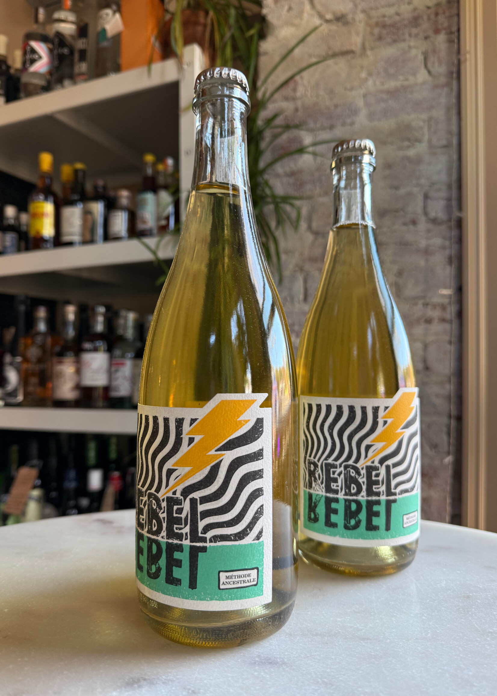 Rebel Rebel Verdelho Methode Ancestrale Pet-Nat, 2024