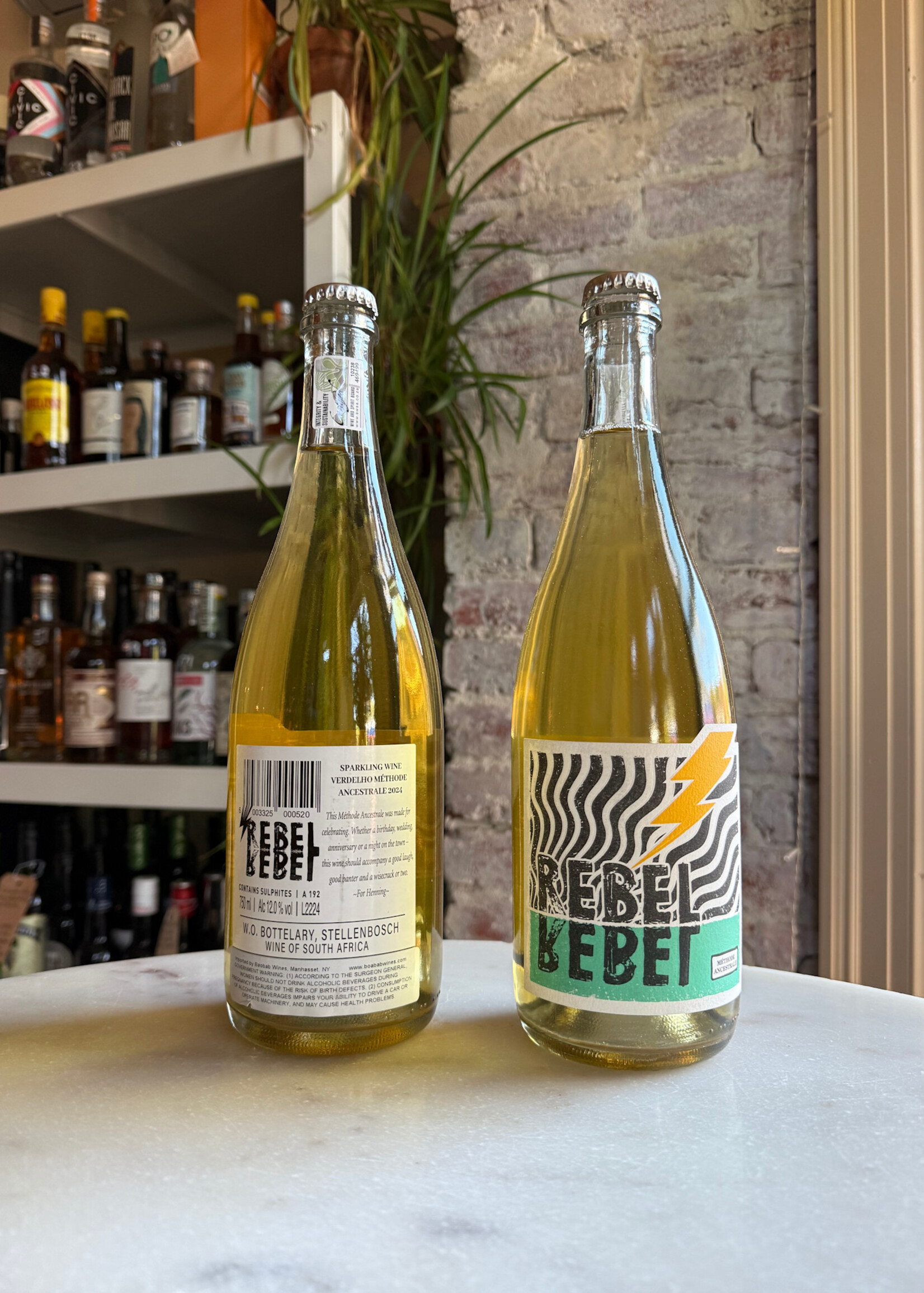 Rebel Rebel Verdelho Methode Ancestrale Pet-Nat, 2024