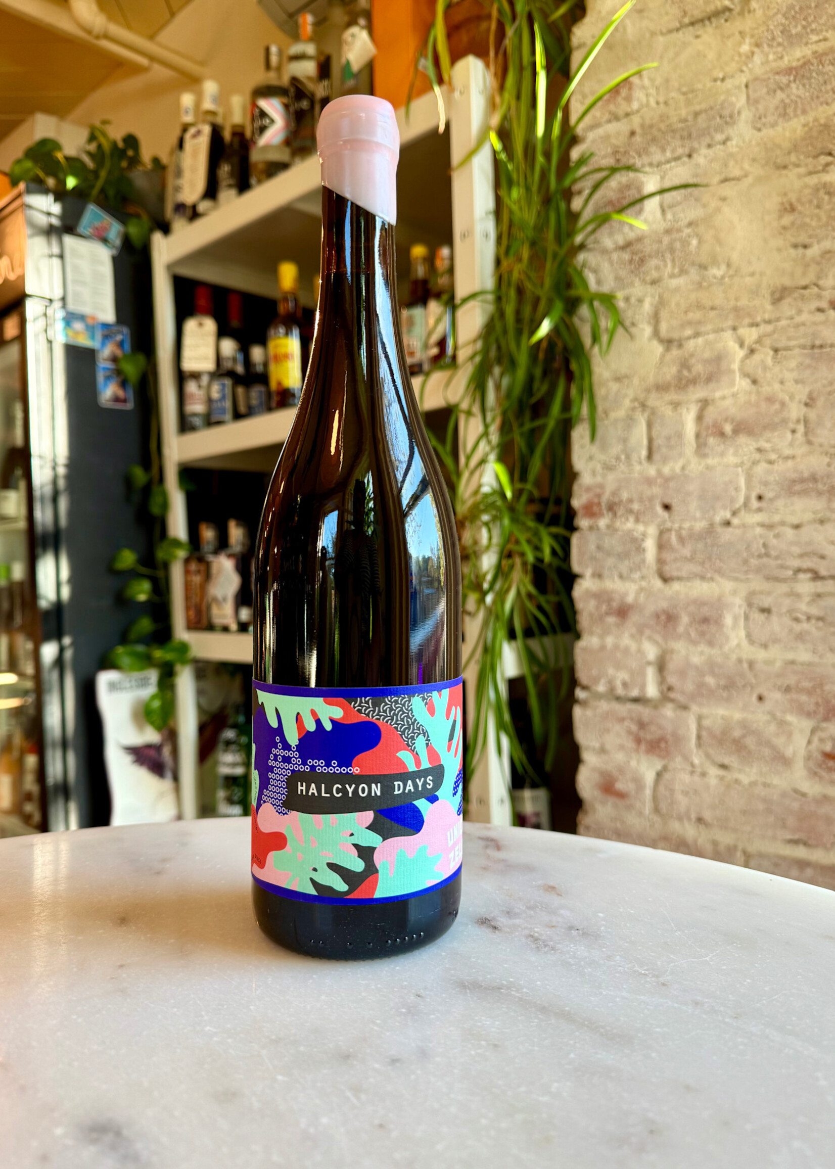 Unico Zelo, Halycon Days, Adelaide Hills, Australia