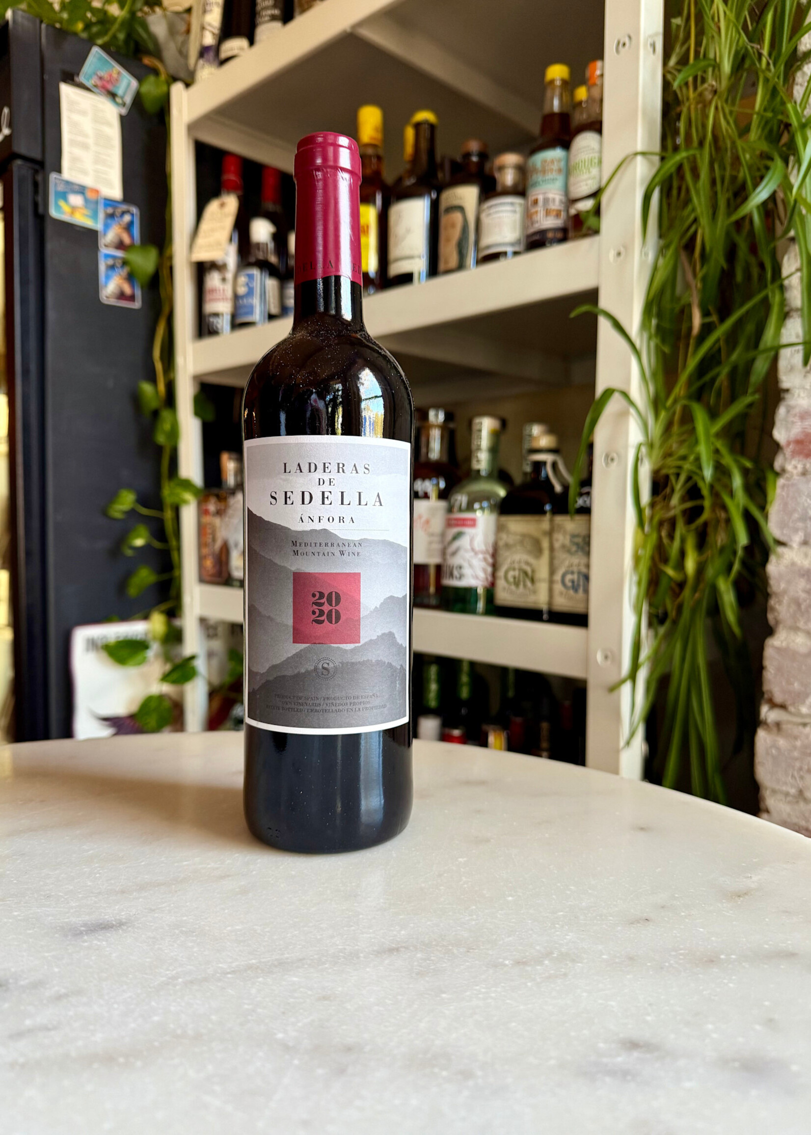 Laderas de Sedella Anfora, Sierras de Málaga, Spain 2022