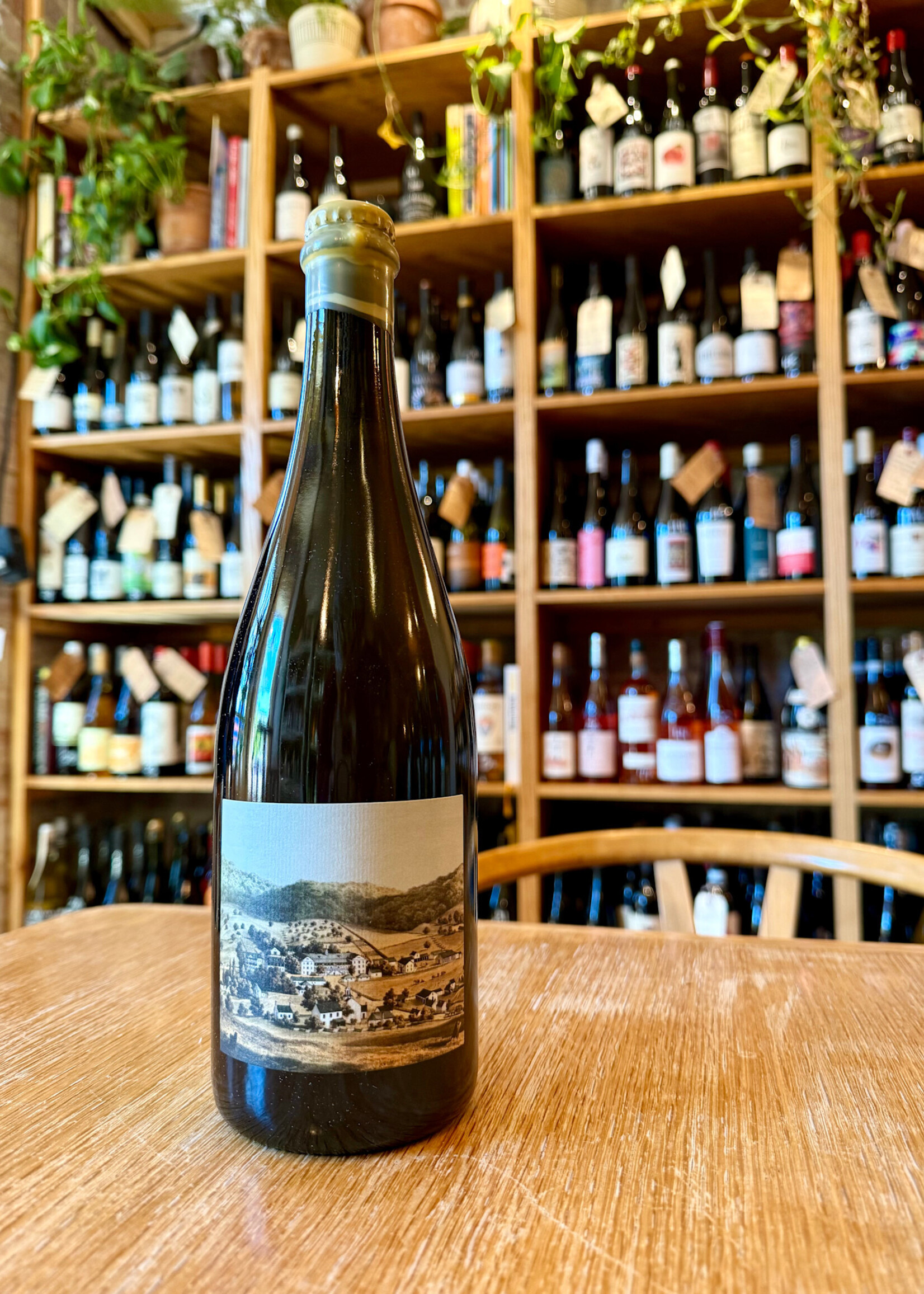 Troddenvale House Cider Virginia 2023