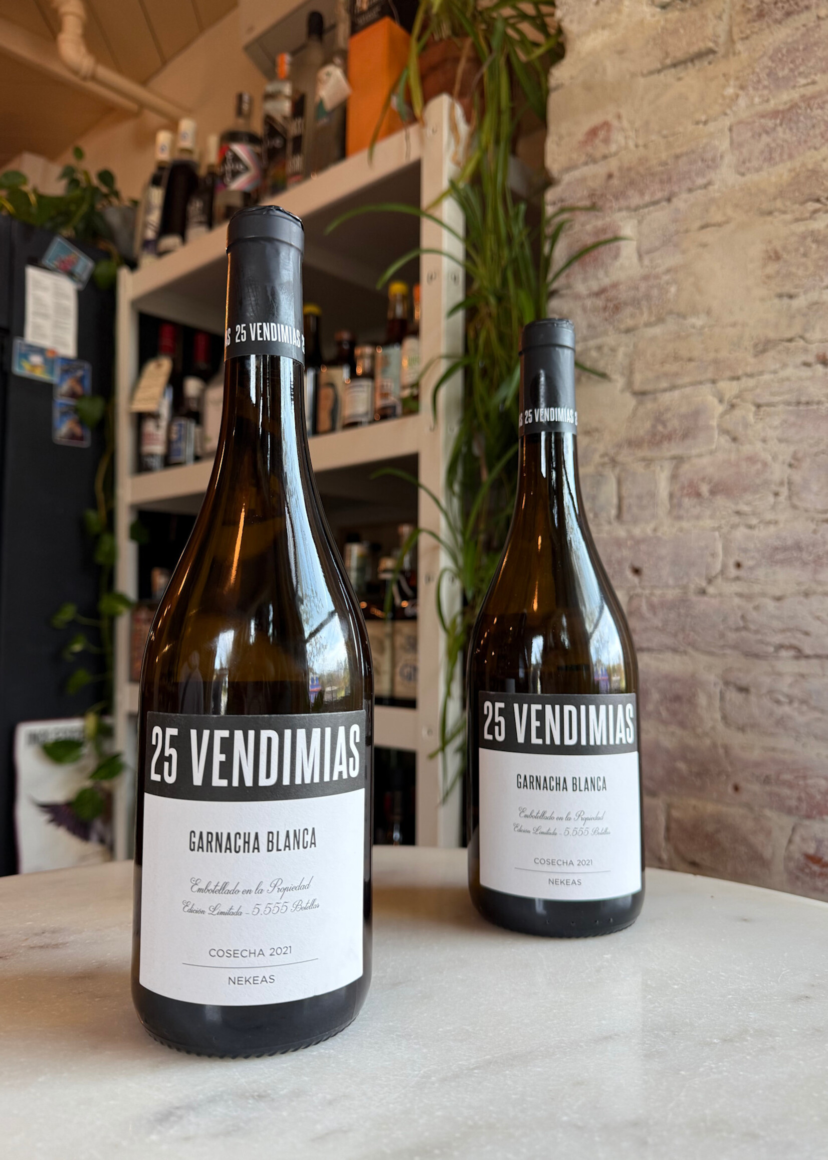 Nekeas Vendimias Garnacha Blanca, Navarra, Spain 2021