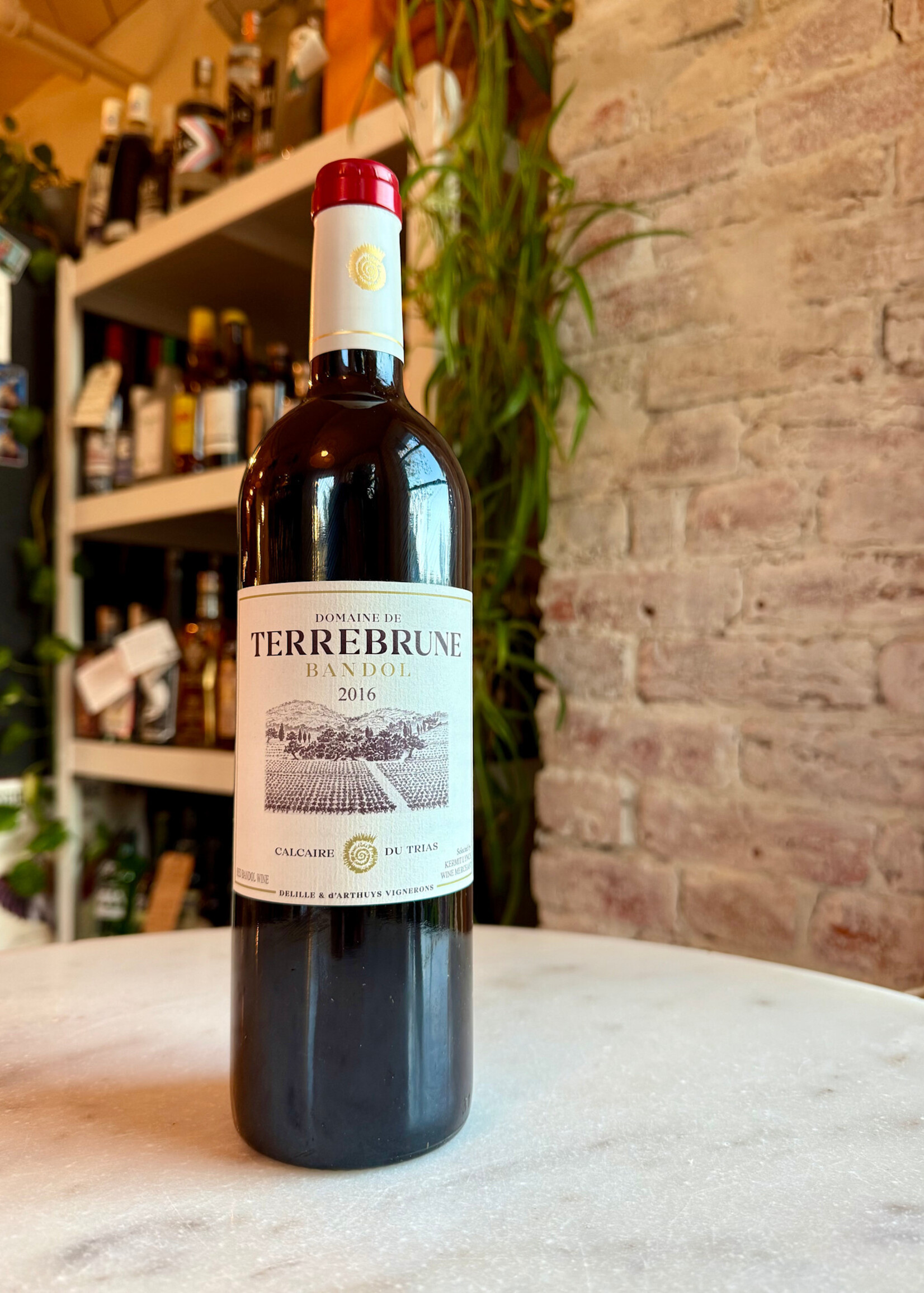 Domaine de Terrebrune, Calcaire du Trias, Bandol, Provence, France 2016