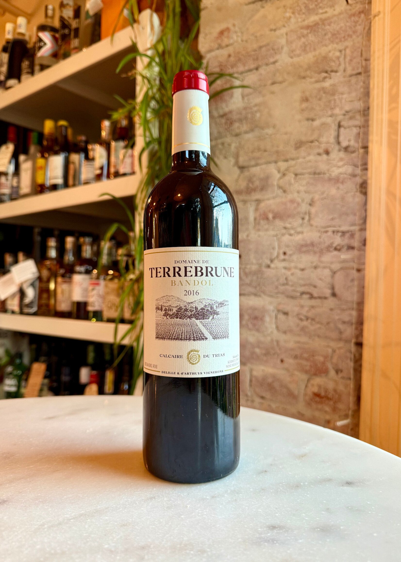 Domaine de Terrebrune, Calcaire du Trias Bandol Rouge, Provence, France 2016