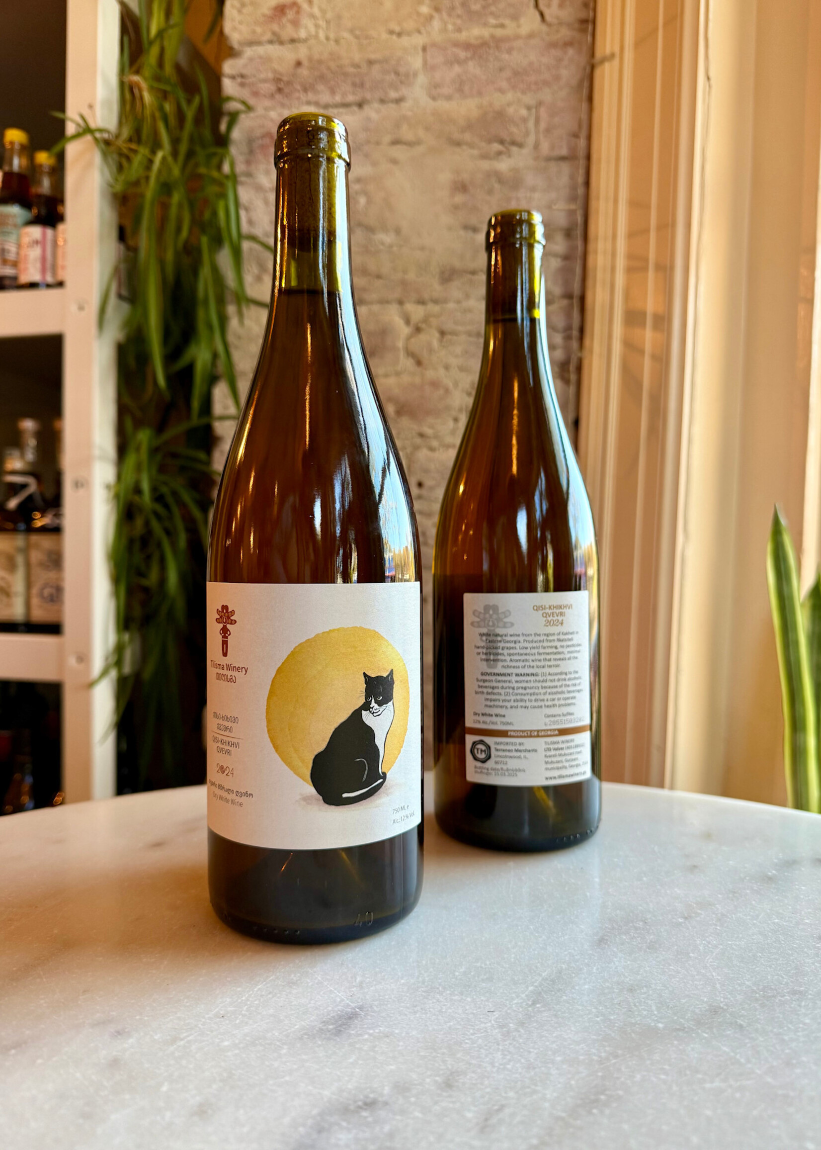 Tilisma Winery,  'Cat' Semi Carbonic Qveri Rkatsiteli, Kakheti, Mukuzani, Georgia 2024 750ml