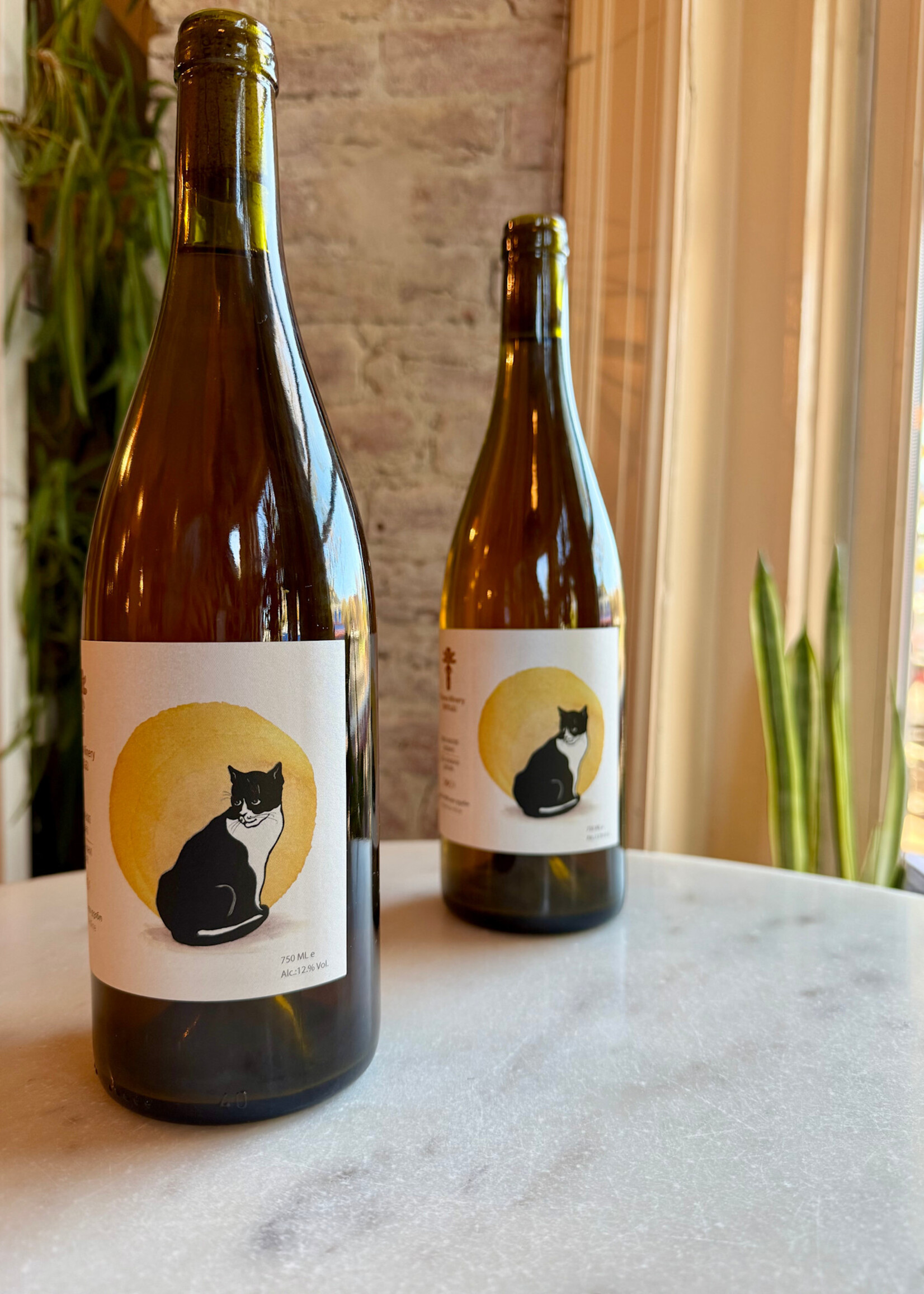 Tilisma Winery,  'Cat' Semi Carbonic Qveri Rkatsiteli, Kakheti, Mukuzani, Georgia 2024 750ml