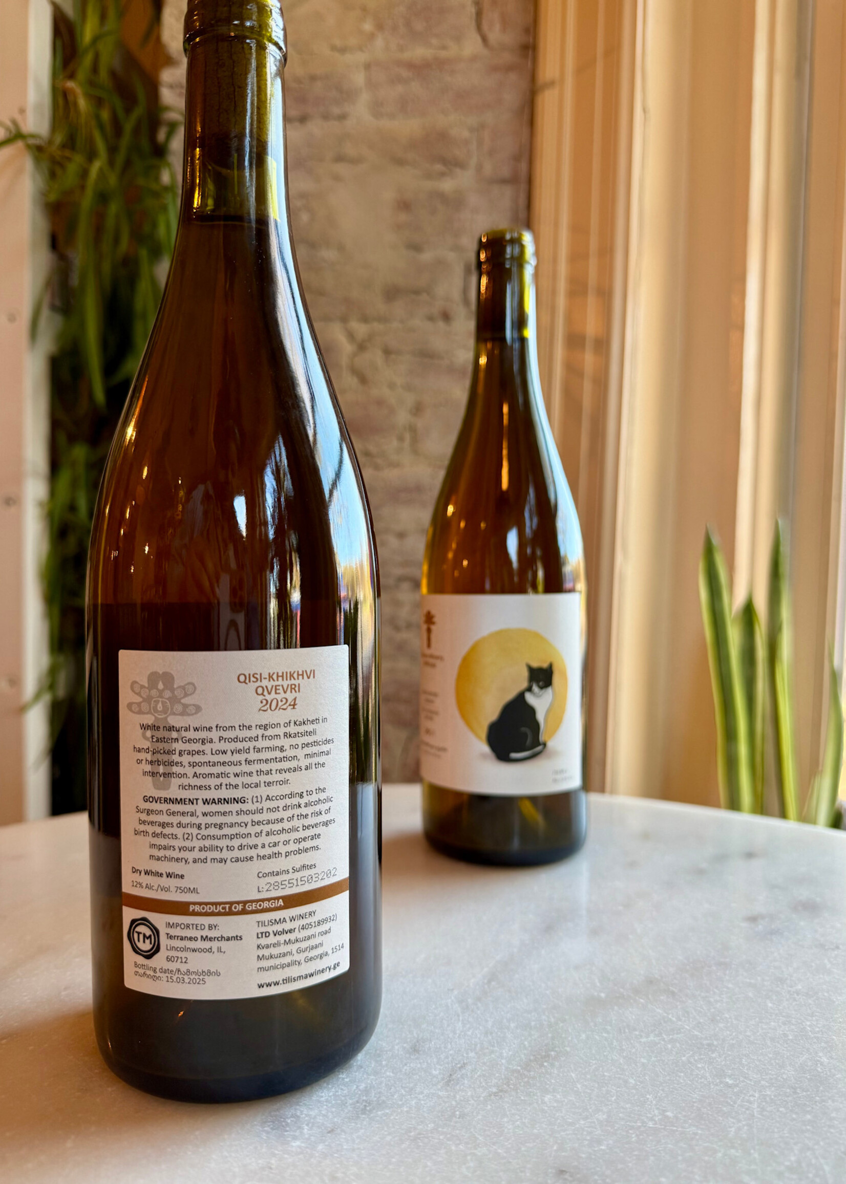 Tilisma Winery,  'Cat' Semi Carbonic Qveri Rkatsiteli, Kakheti, Mukuzani, Georgia 2024 750ml