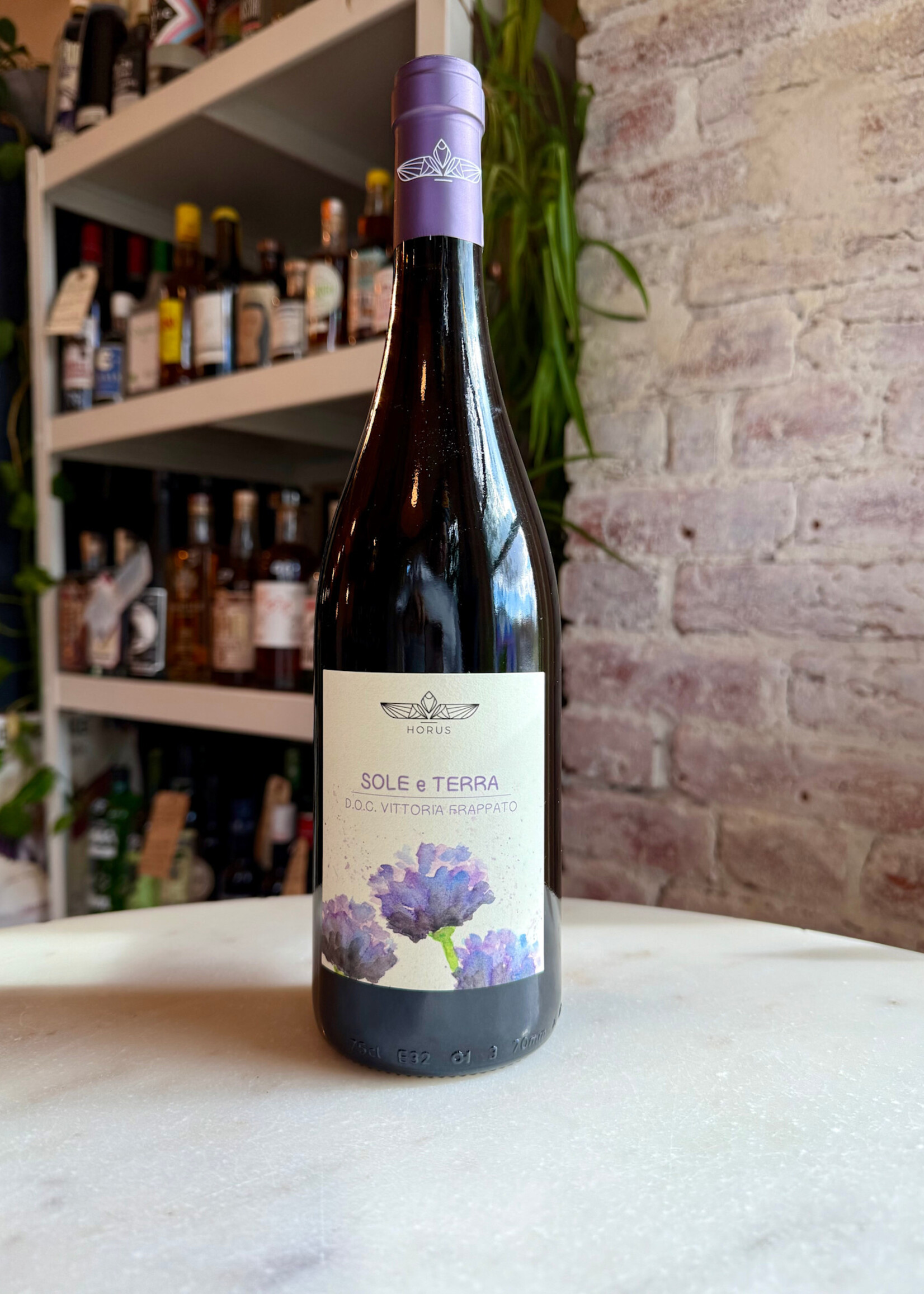Cantina Horus, Sole e Terra, DOC Vittoria, Frappato Italy 2022