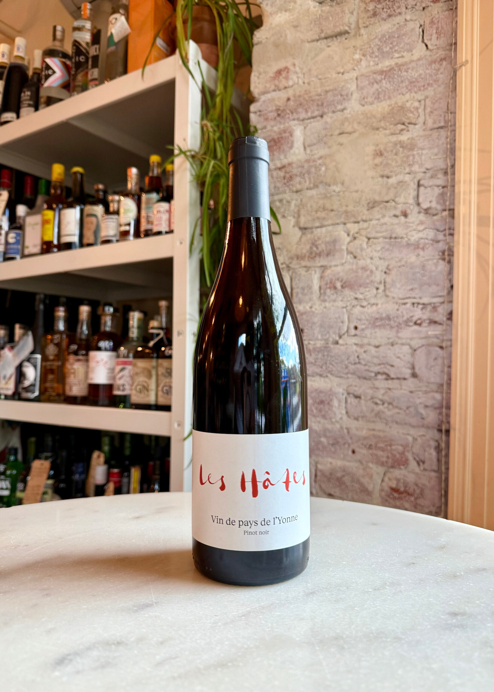 Raphaëlle Guyot, Les Hâtes vin de pays de l’Yonne, IGP Yvonne, France 2022