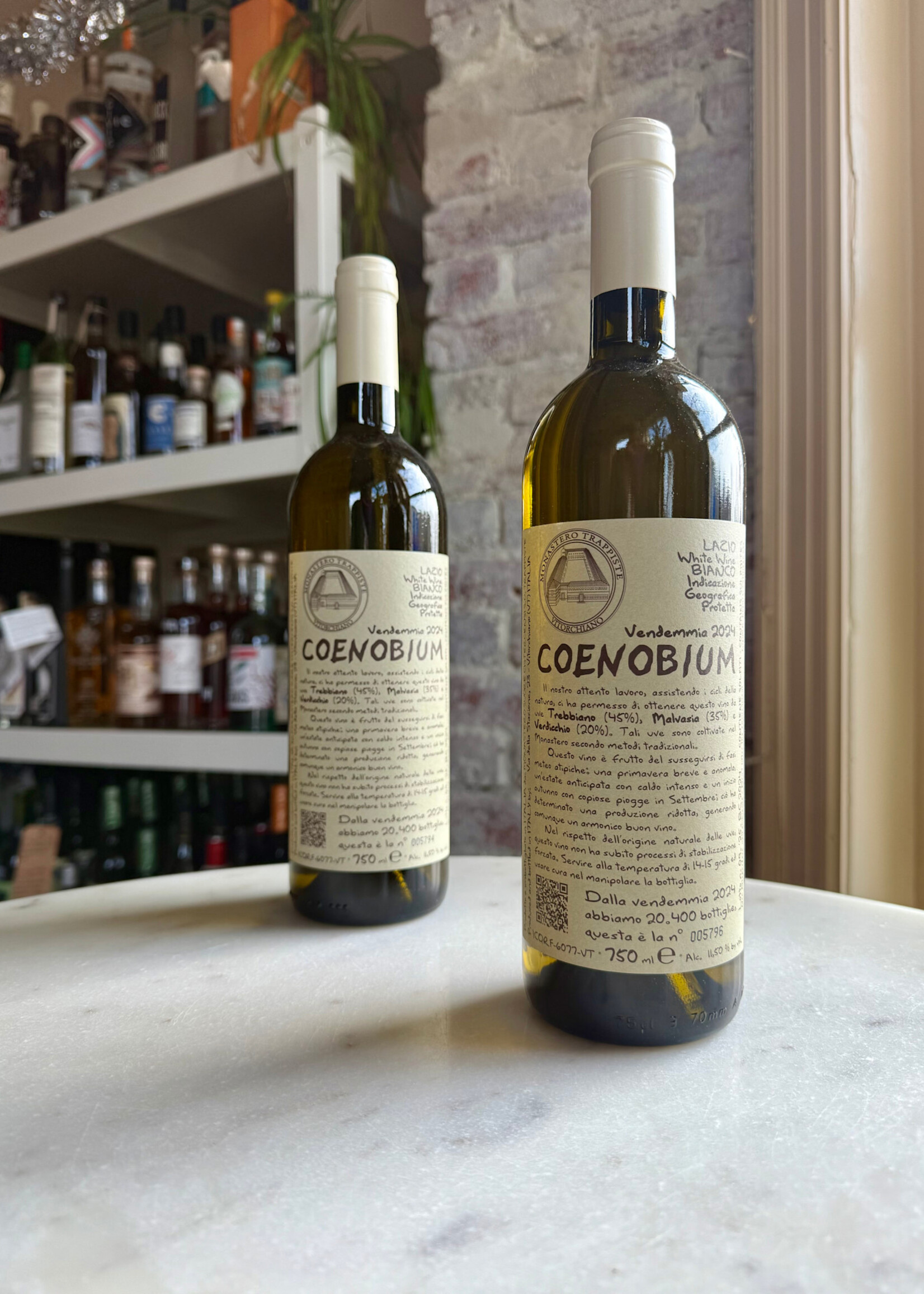 Monastero Suore Cistercensi Vino Tavola Bianco “Coenobium”, Lazio, Italy 2024