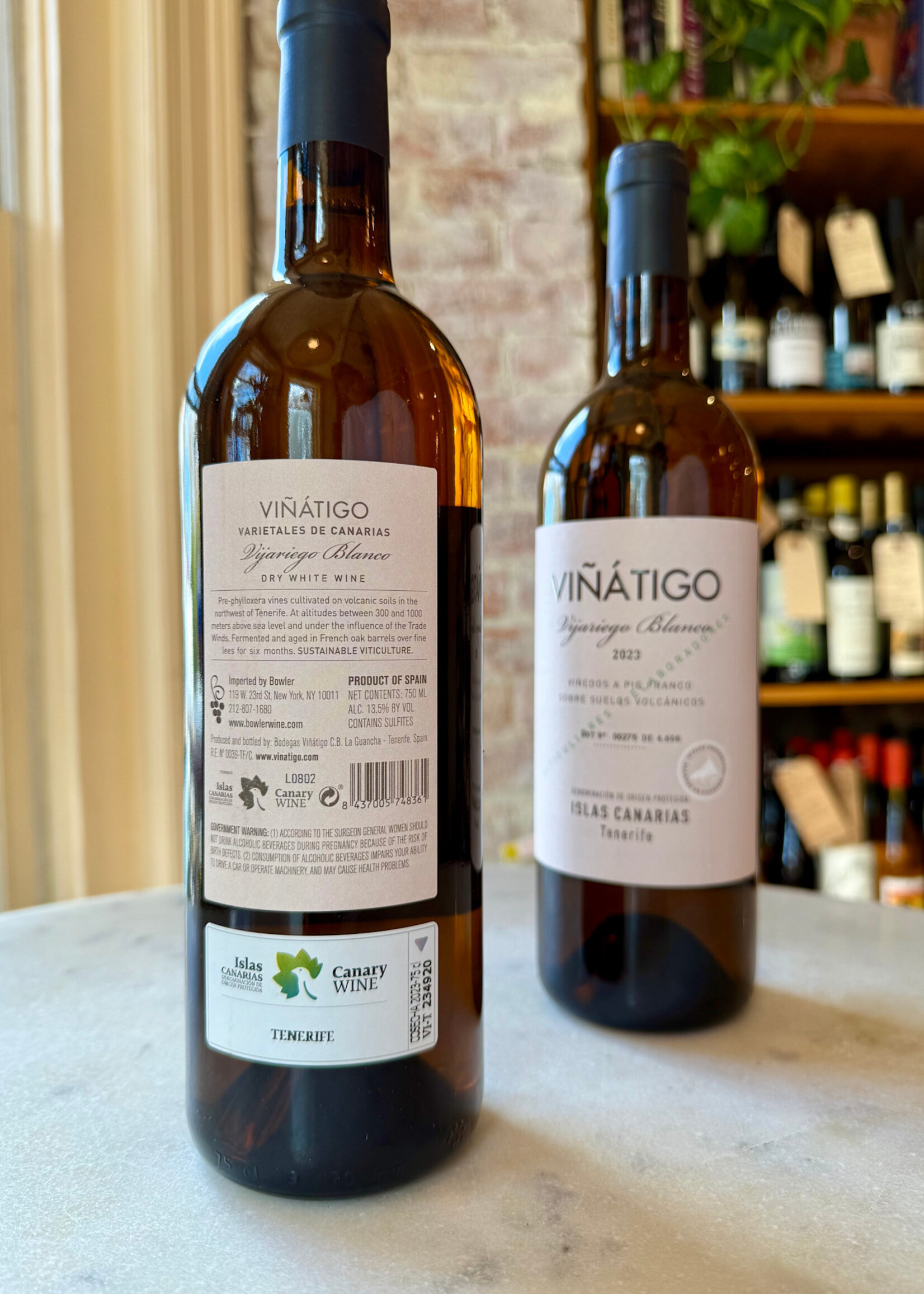 Viñátigo, Las Islas Vijariego Blanco, Tenerife, Las Islas Canarias, Canary Islands, Spain 2023