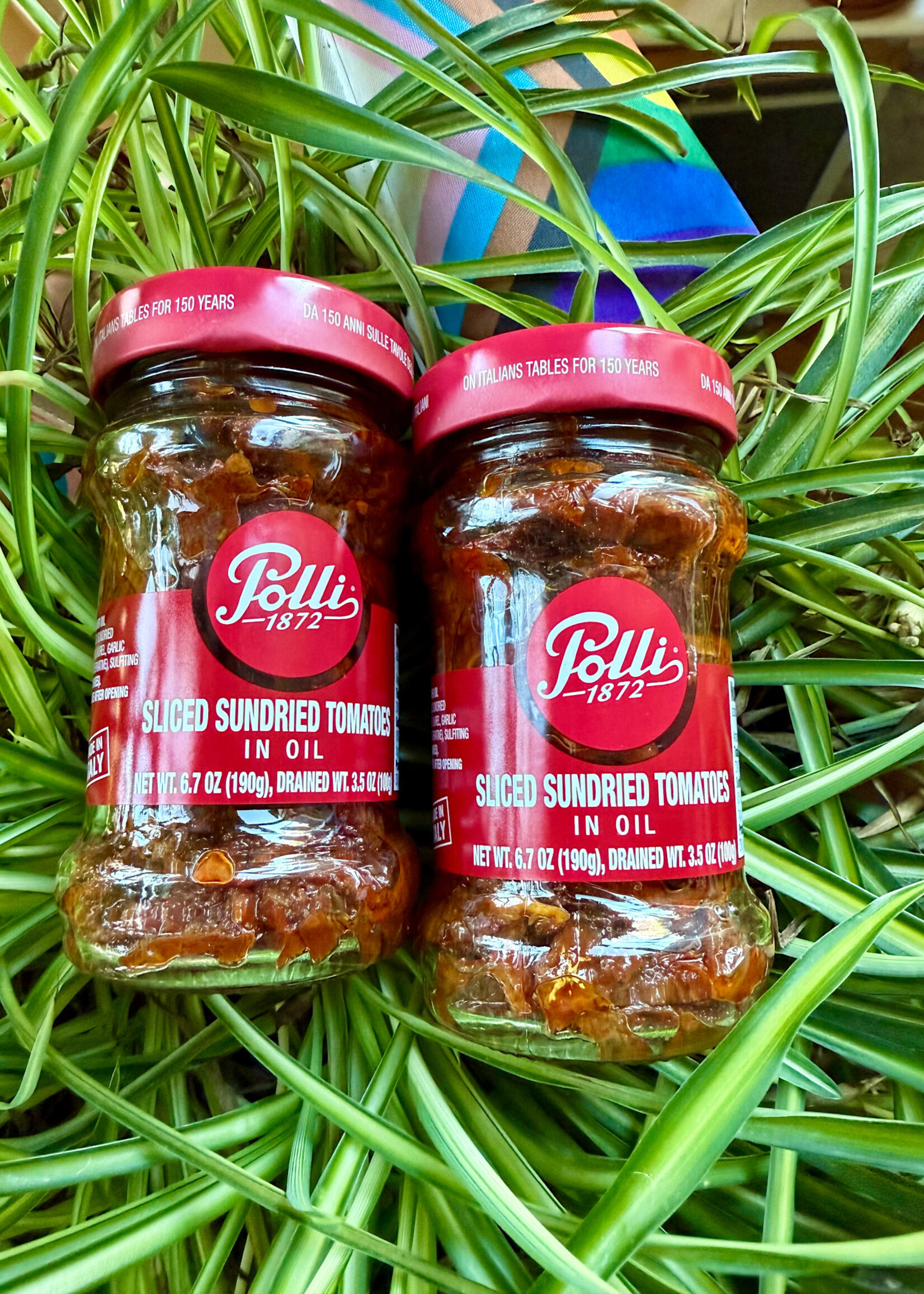 Polli Sundried Tomatoes in oil  10.1oz (285g)