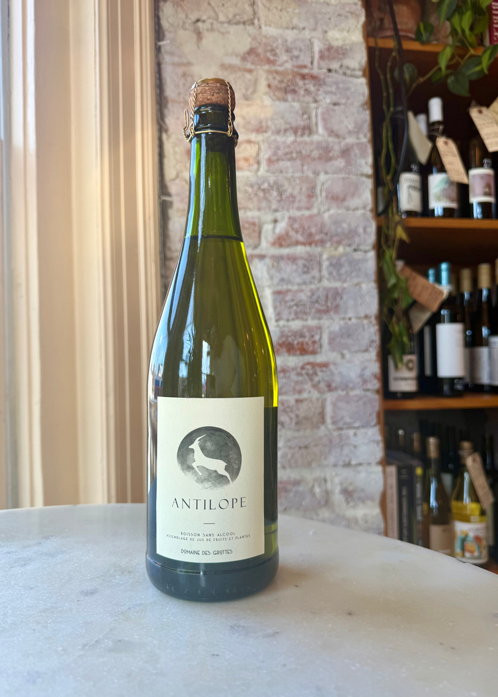 Domaine Des Grottes Antilope, Saint-Étienne-des-Ouillieres, Beaujolais, France NV