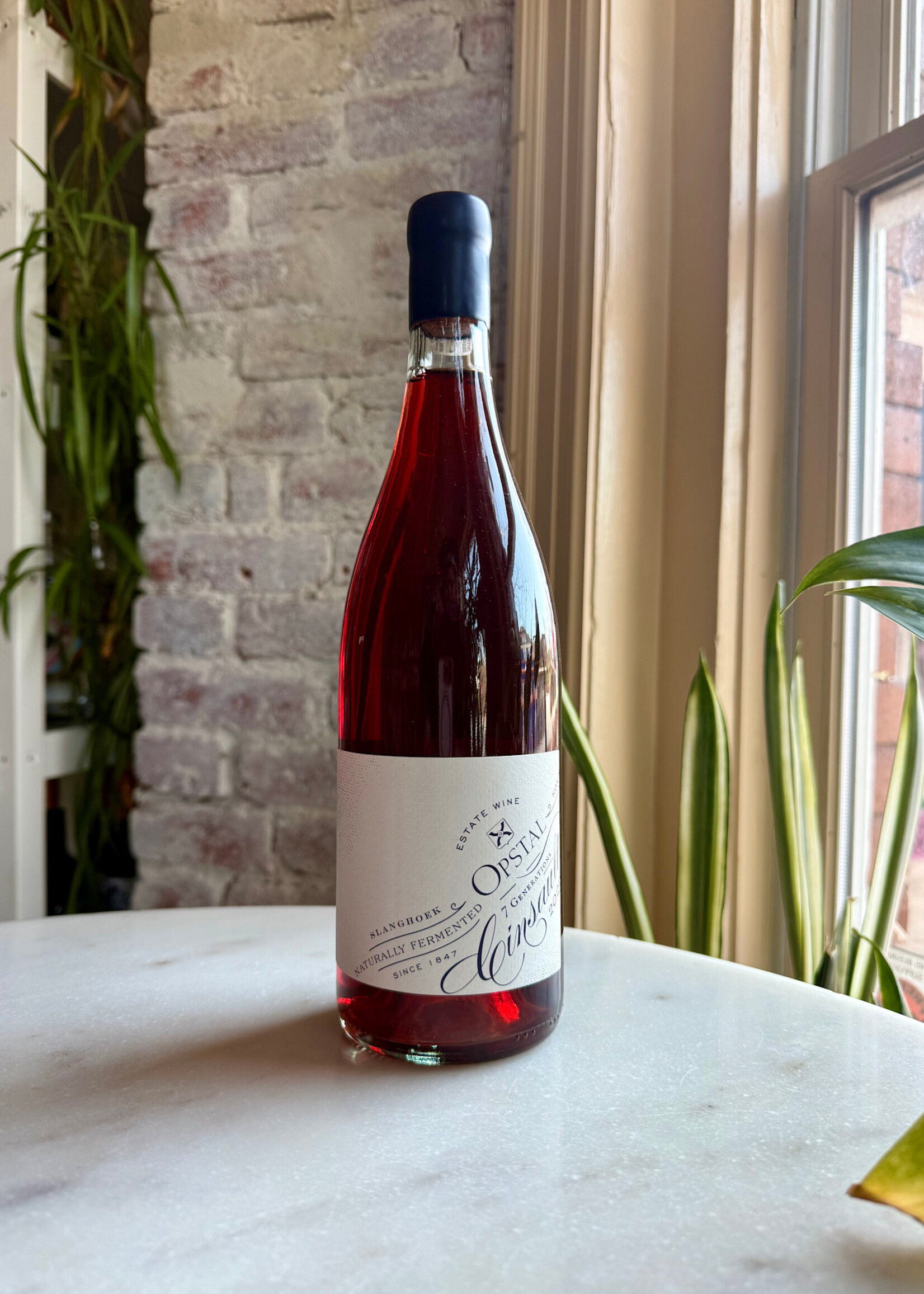 Opstal, Cinsault , Slanghoek, South Africa 2023