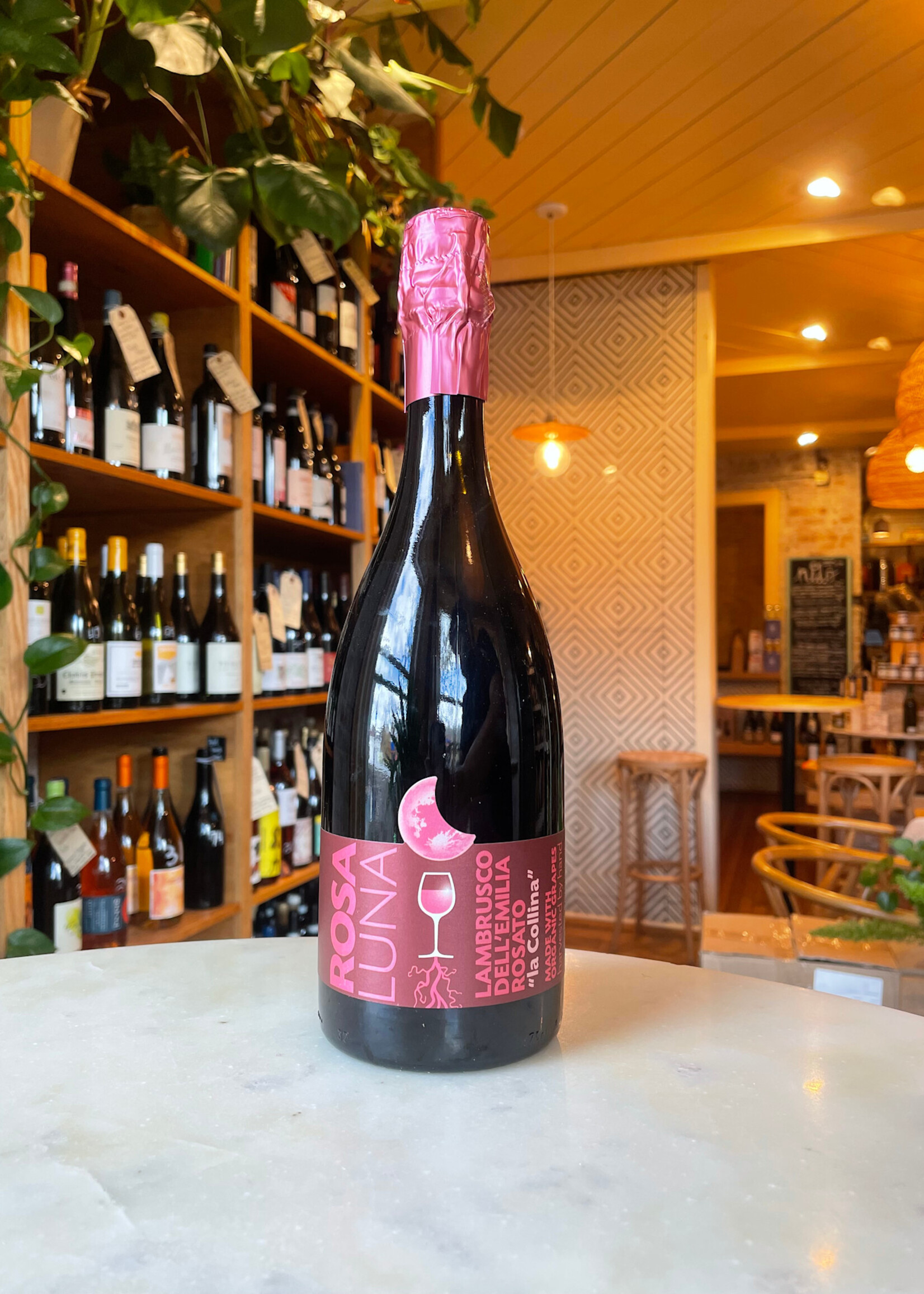 La Collina Rosa Luna Lambrusco Dell’Emilia, Italy 2024