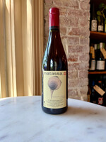 Matassa VdF Rouge, “French Disko”, Roussillon, France 2024