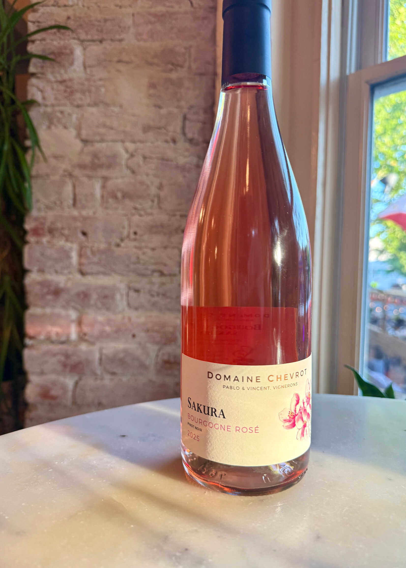 Domaine Chevrot, ‘Sakura’ Bourgogne Rosé, France 2025