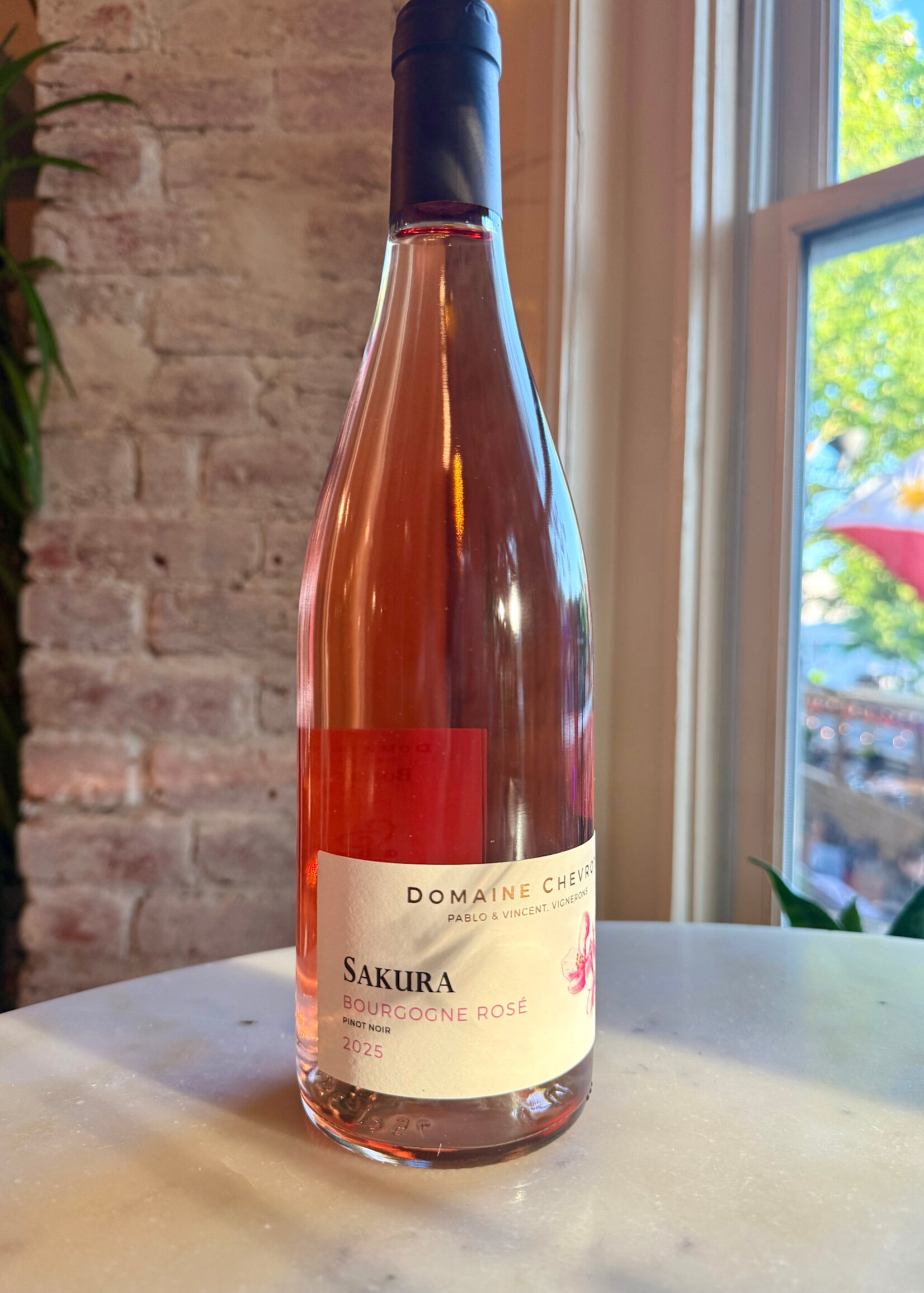 Domaine Chevrot, ‘Sakura’ Bourgogne Rosé, France 2025