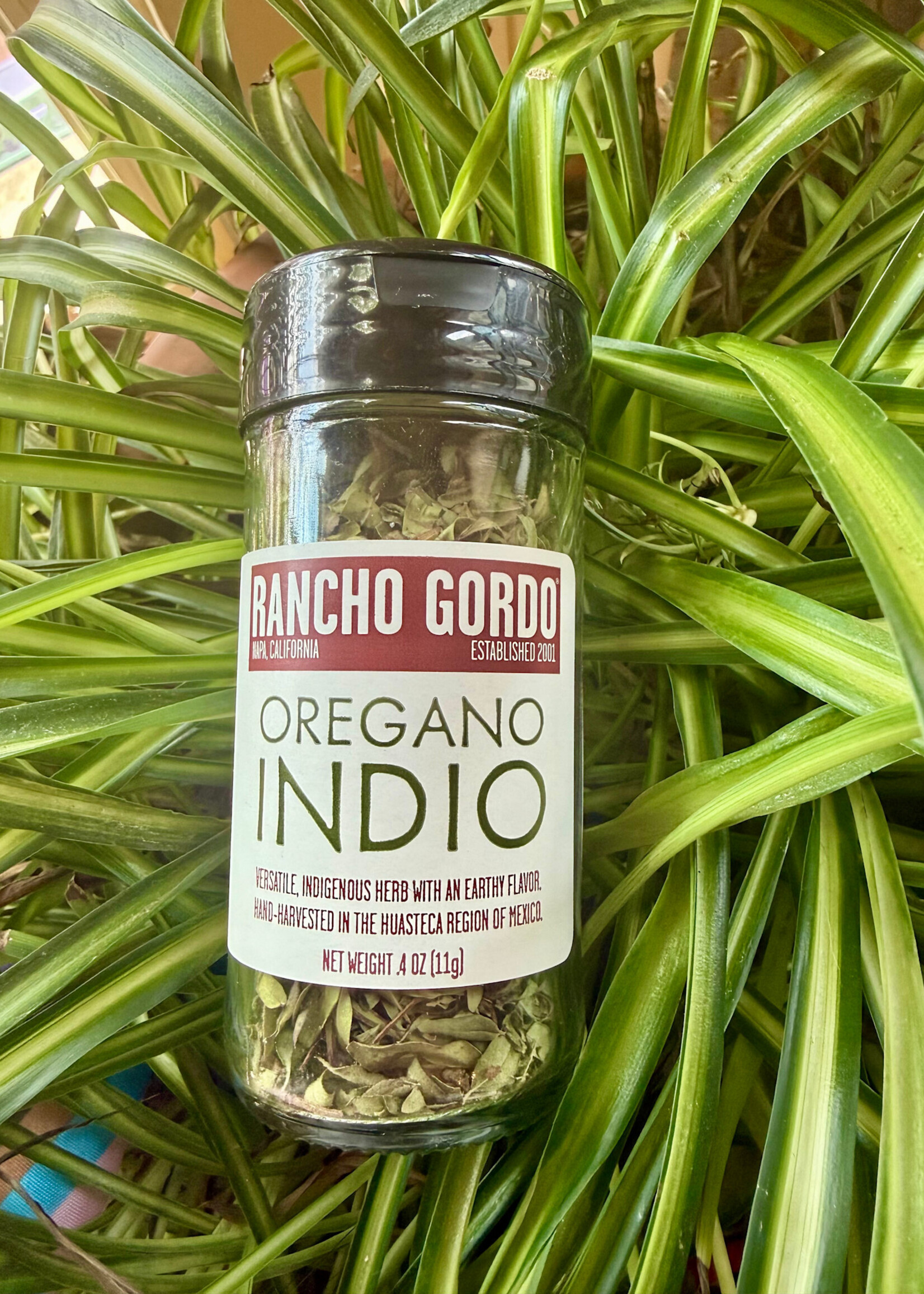 Rancho Gordo Oregano Indio, Huasteca, Mexico .4oz (11g)