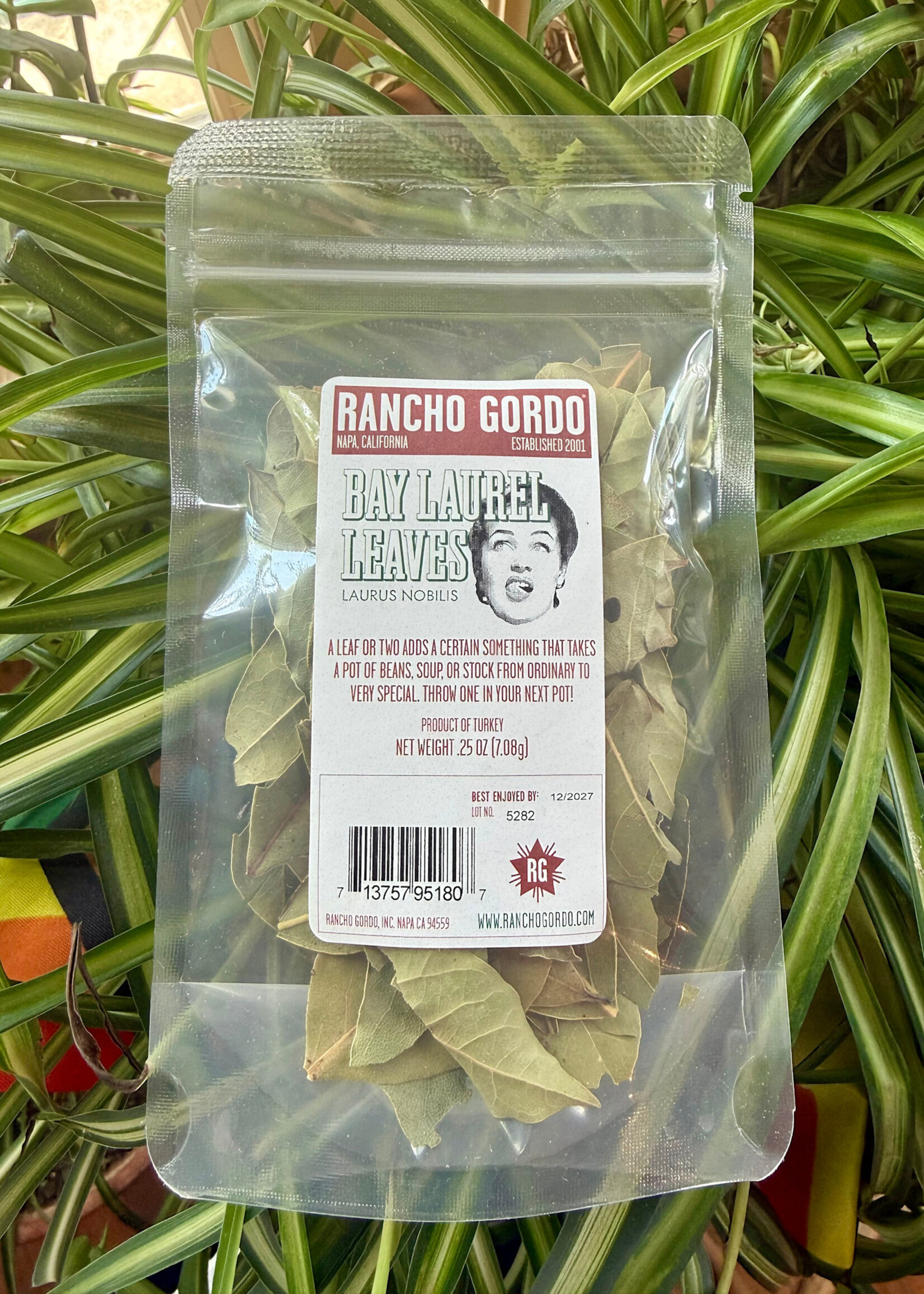 Rancho Gordo Bay Laurel Leaves .25oz (7.08g)