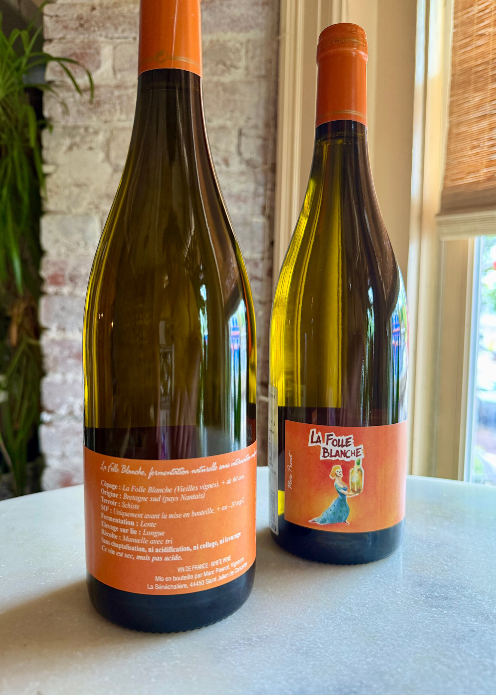 Marc Pesnot, Folle Blanche, Loire Valley, France 2024