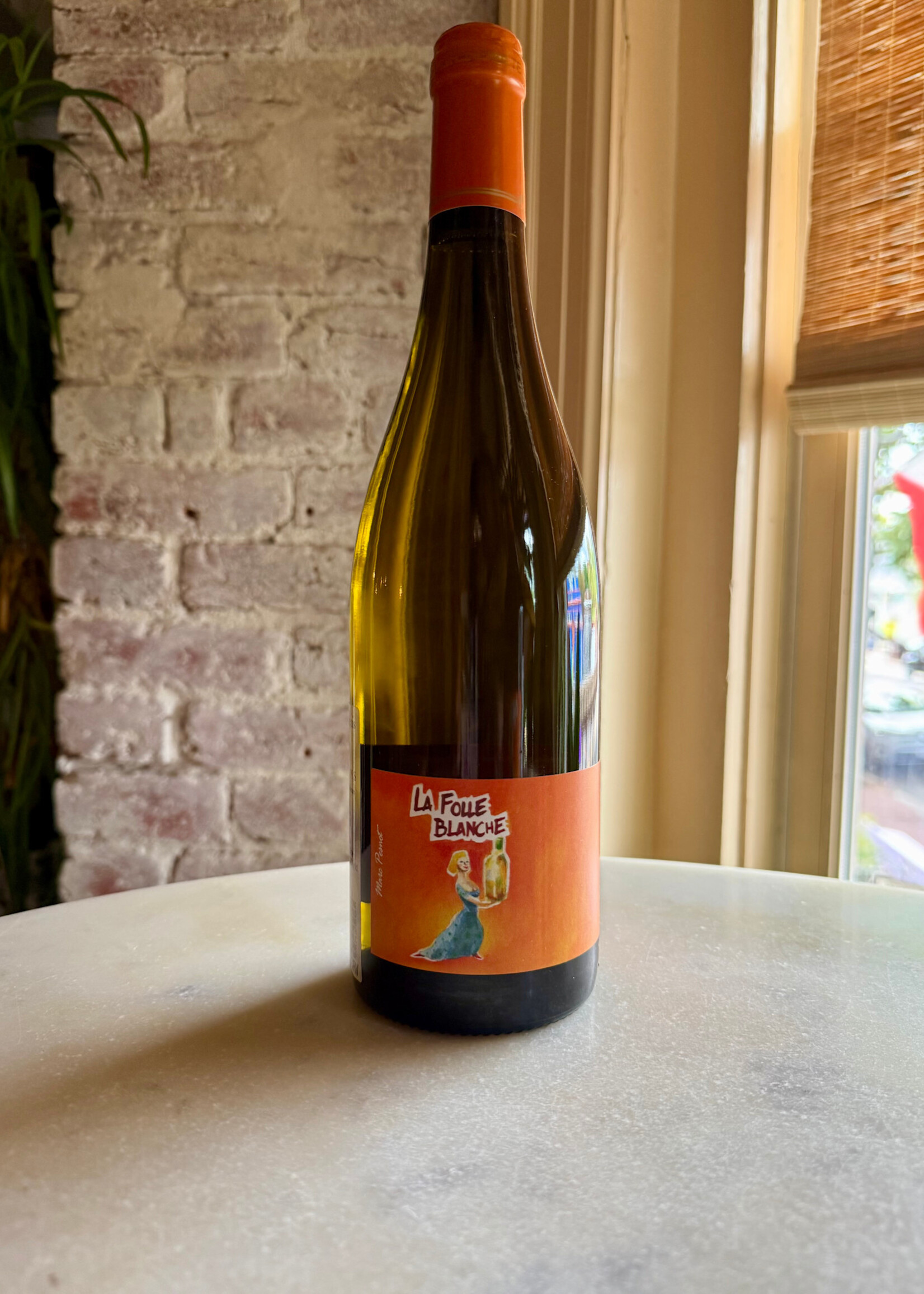 Marc Pesnot, Folle Blanche, Loire Valley, France 2024