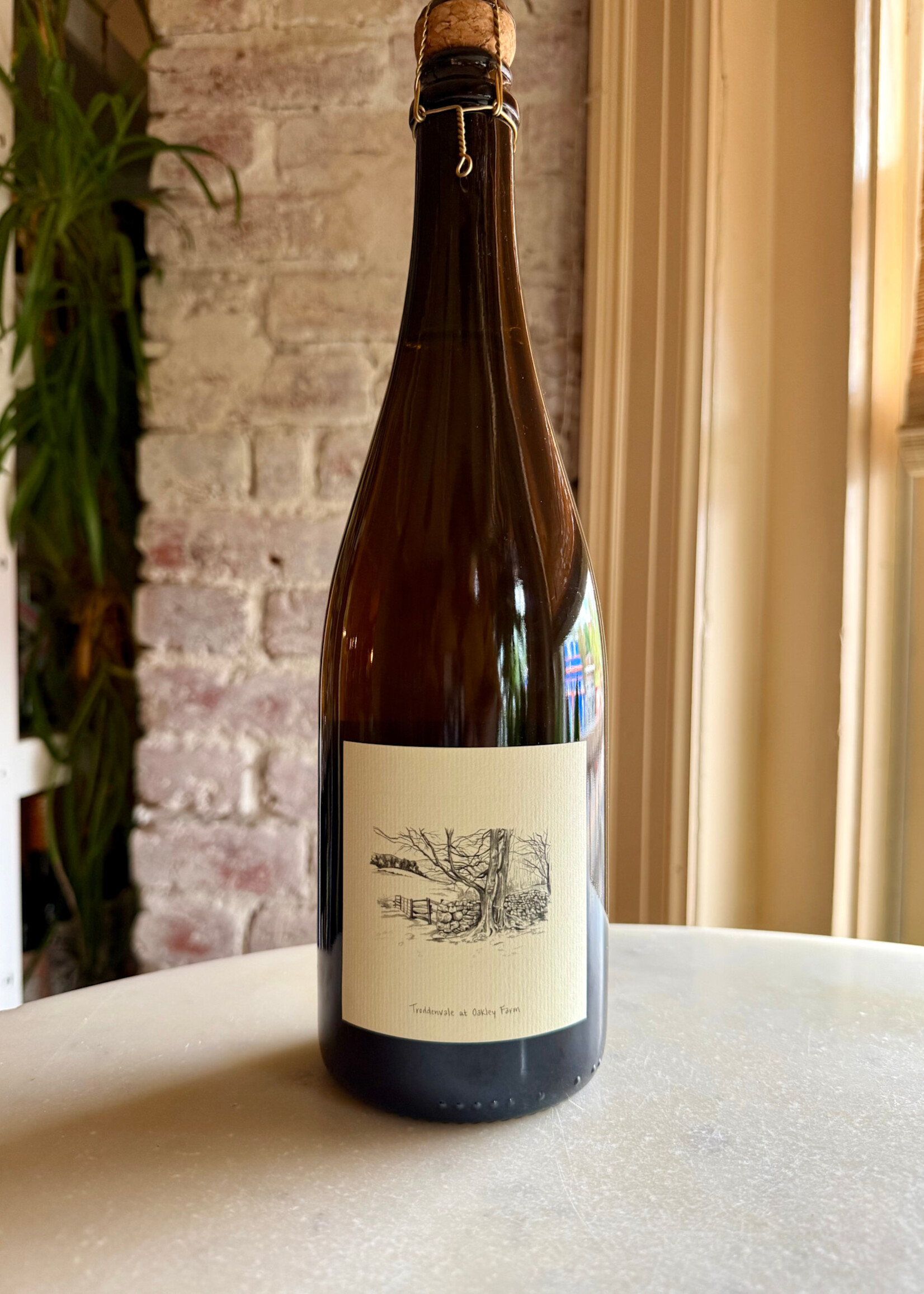 Troddenvale Farm Cider Field Cuvée, Warm Springs, Virginia 2024