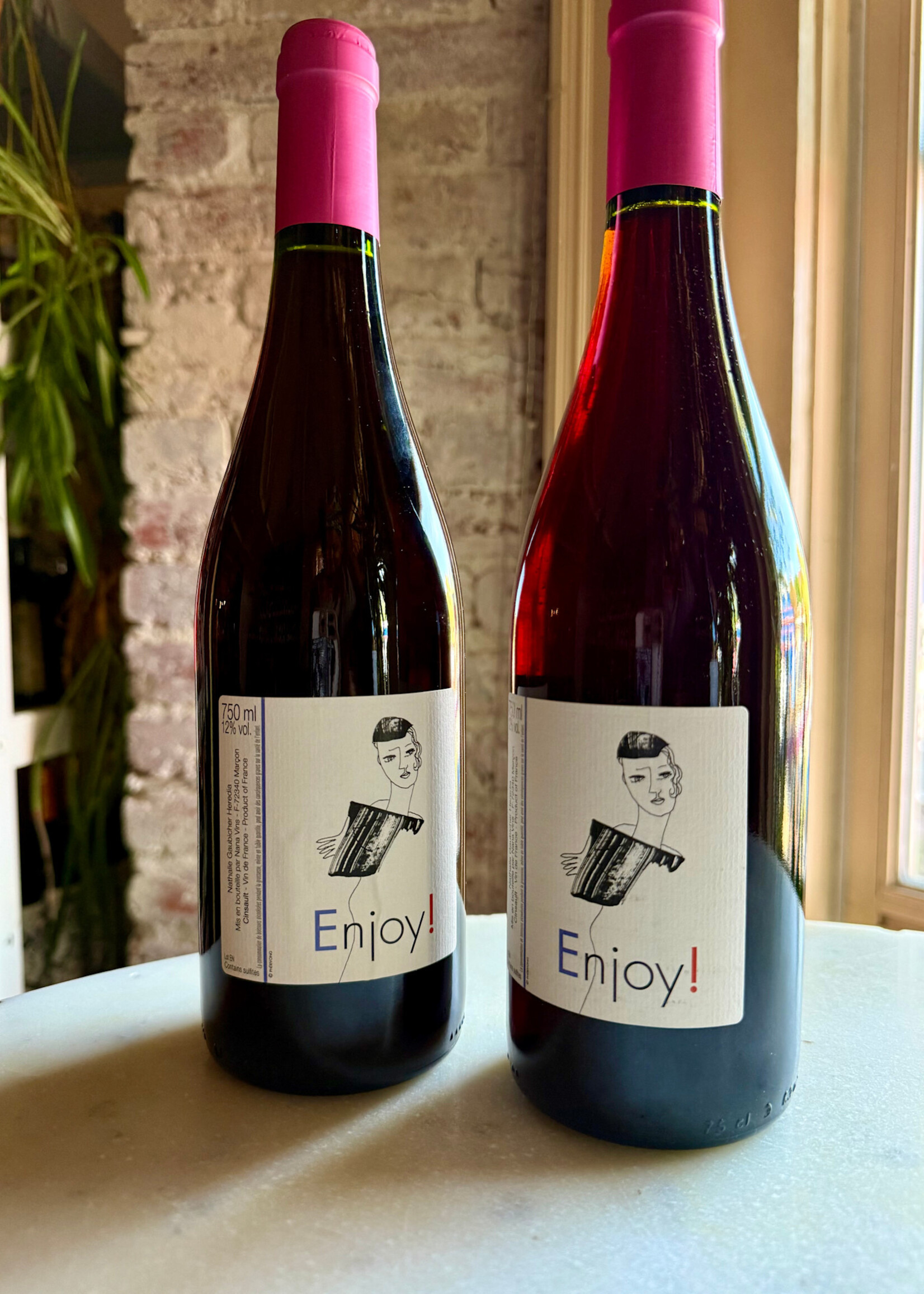 Nana Vins et Cie, Enjoy Rouge, Loire Valley, France 2022