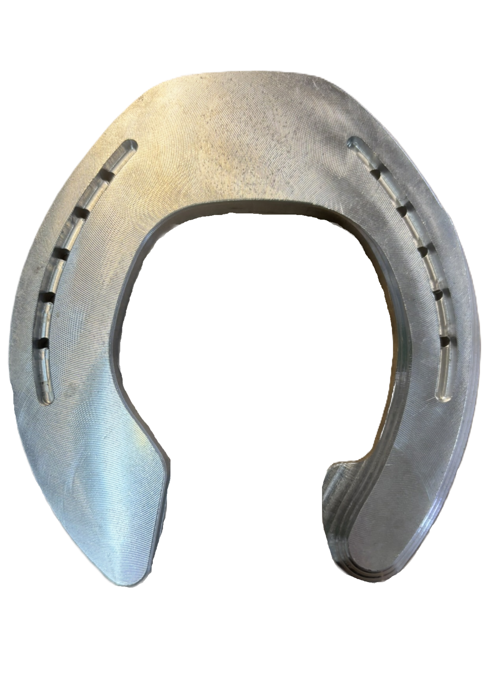 Grand Circuit Suspensory Hind Branch, ea