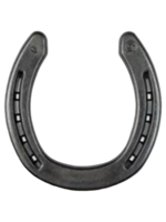 Double S Double S Quarter Horse , pr