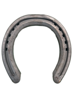 Libero Concave 20x10mm, pr